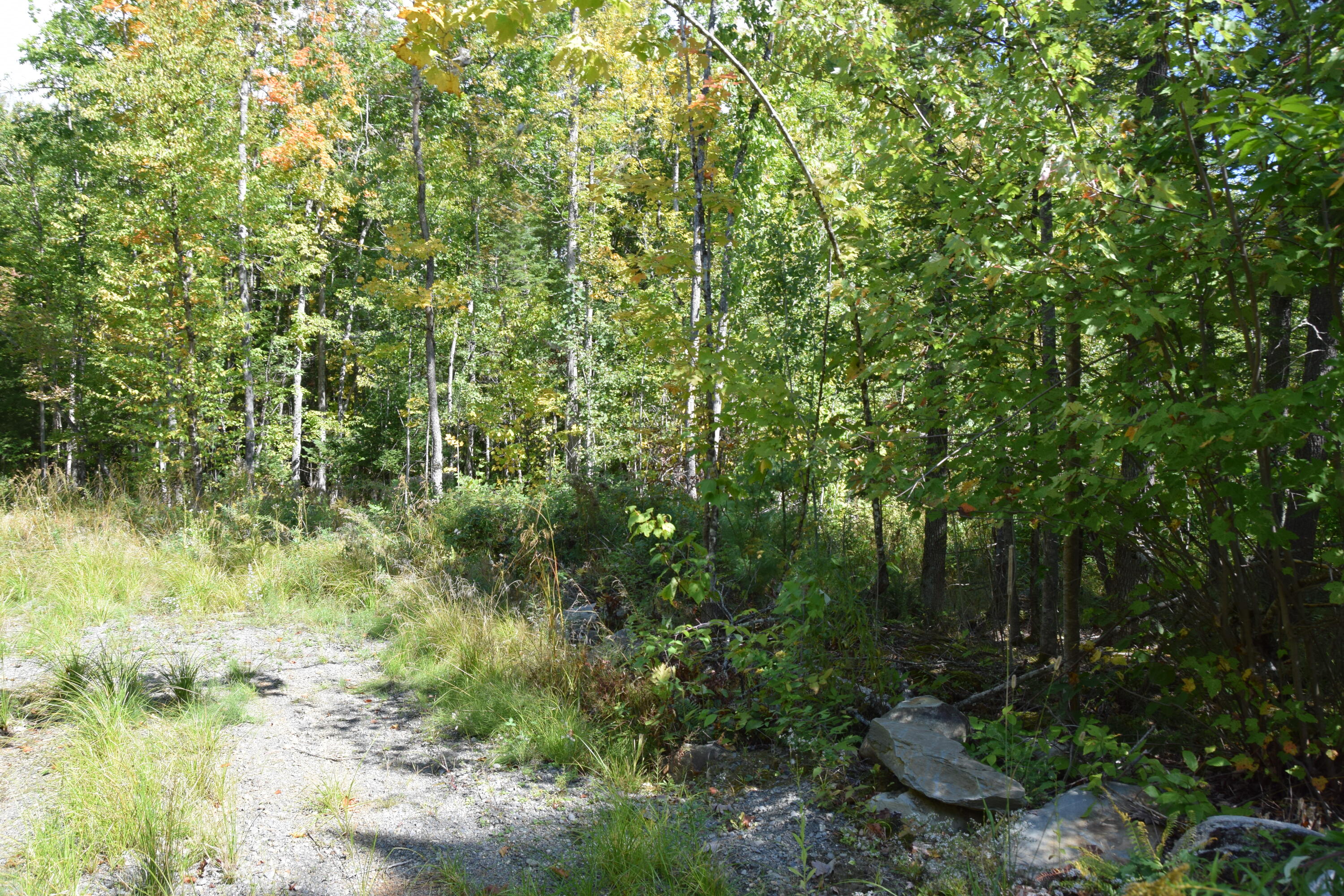 M10-l11 Campbell Road Athens, ME 04912 - Photo 4 of 22 DSC_0004