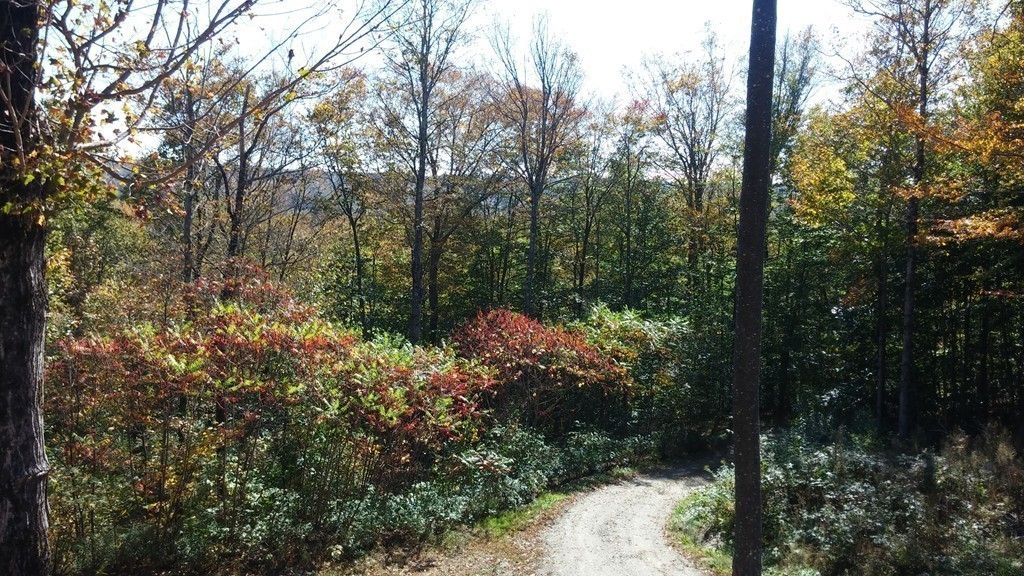 114 Goss Hill Road Huntington, MA 01050 - Photo 24 of 29