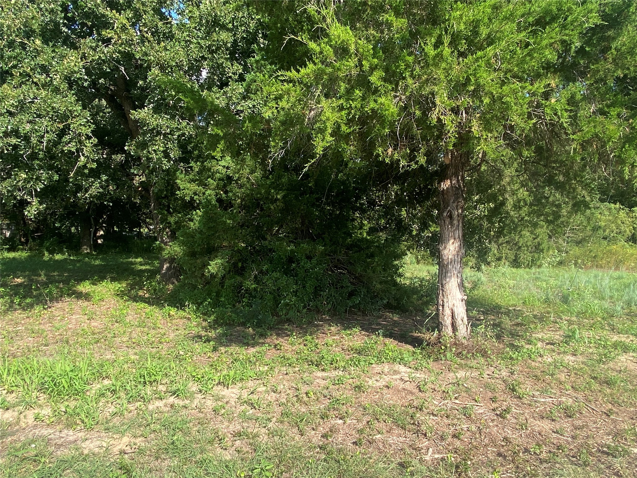 571 Railroad Road Somerville, TX 77879 - Photo 3 of 6 Gallery Image 3