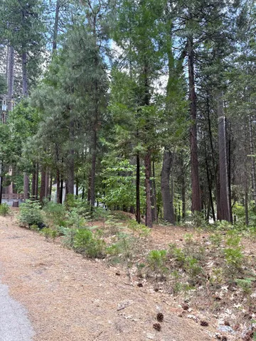 $49,900 | 1964 Belmont Way, Arnold, CA 95223