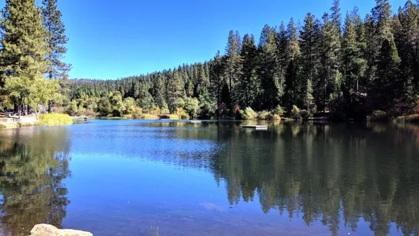 a view of a lake with houses in the background