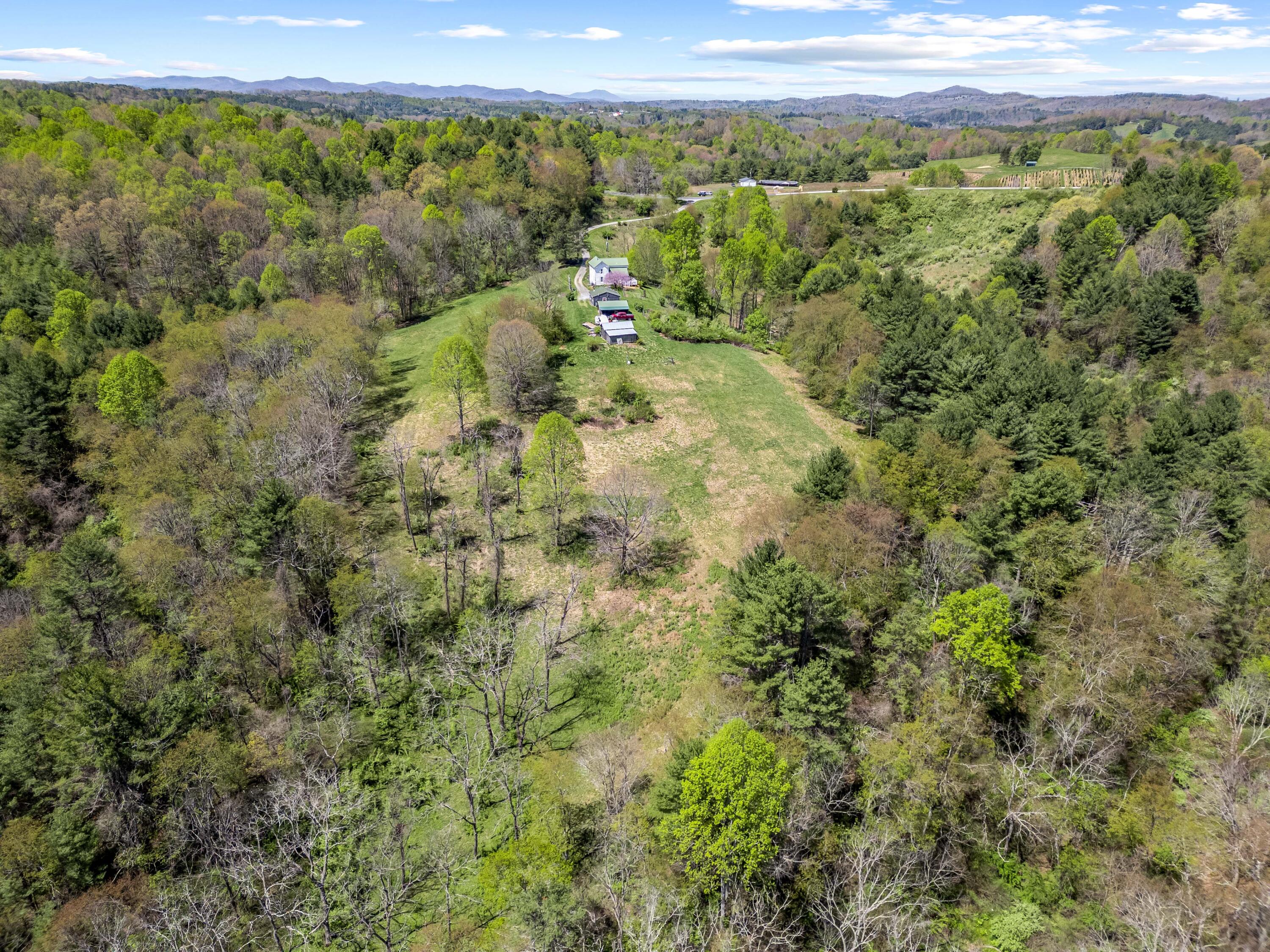 771 White Oak Grove Road Northeast Riner, VA 24149 - Photo 102 of 113 a view of a forest with an outdoor space