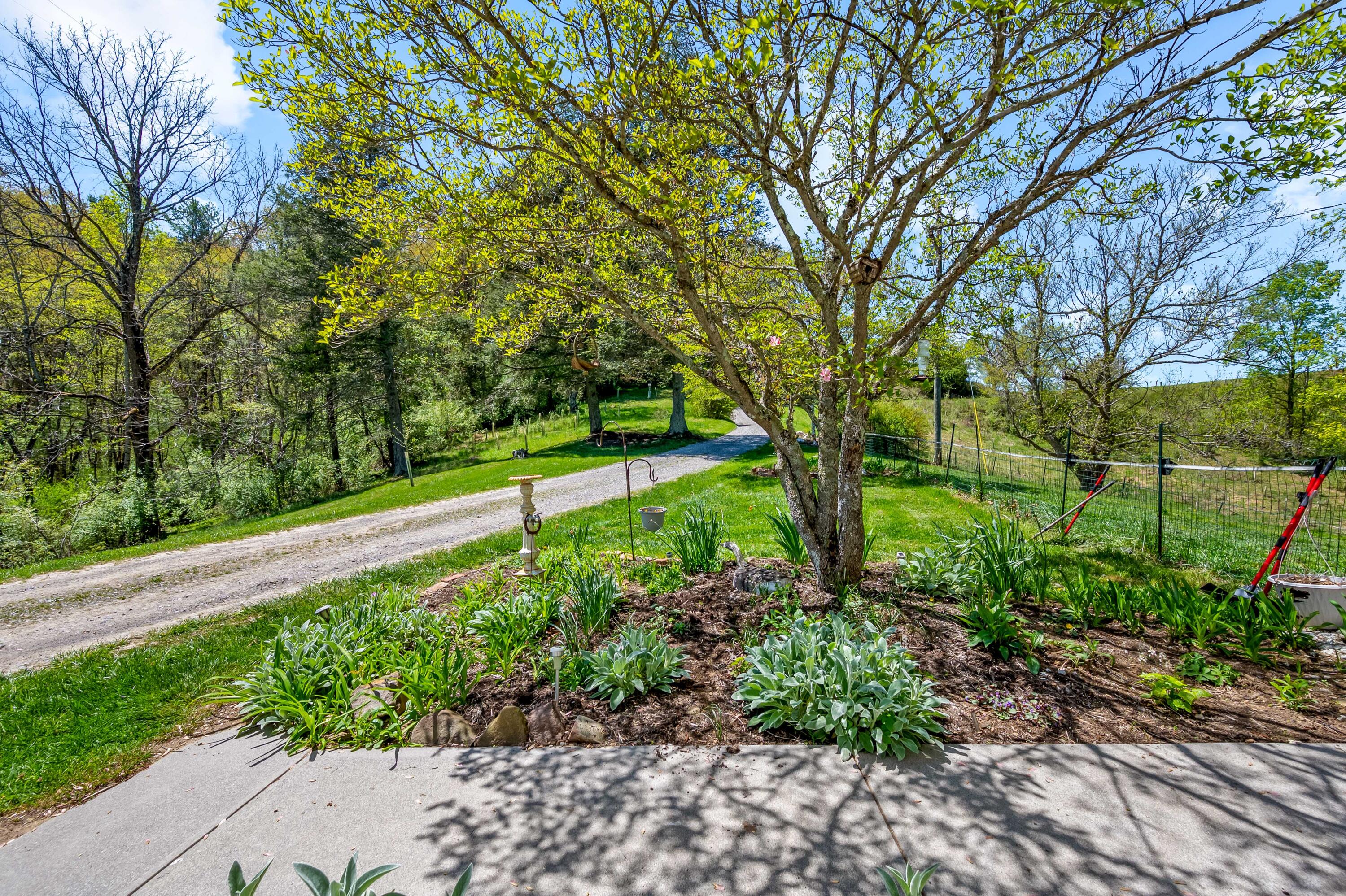 771 White Oak Grove Road Northeast Riner, VA 24149 - Photo 53 of 113 a view of a backyard with potted plants and large trees