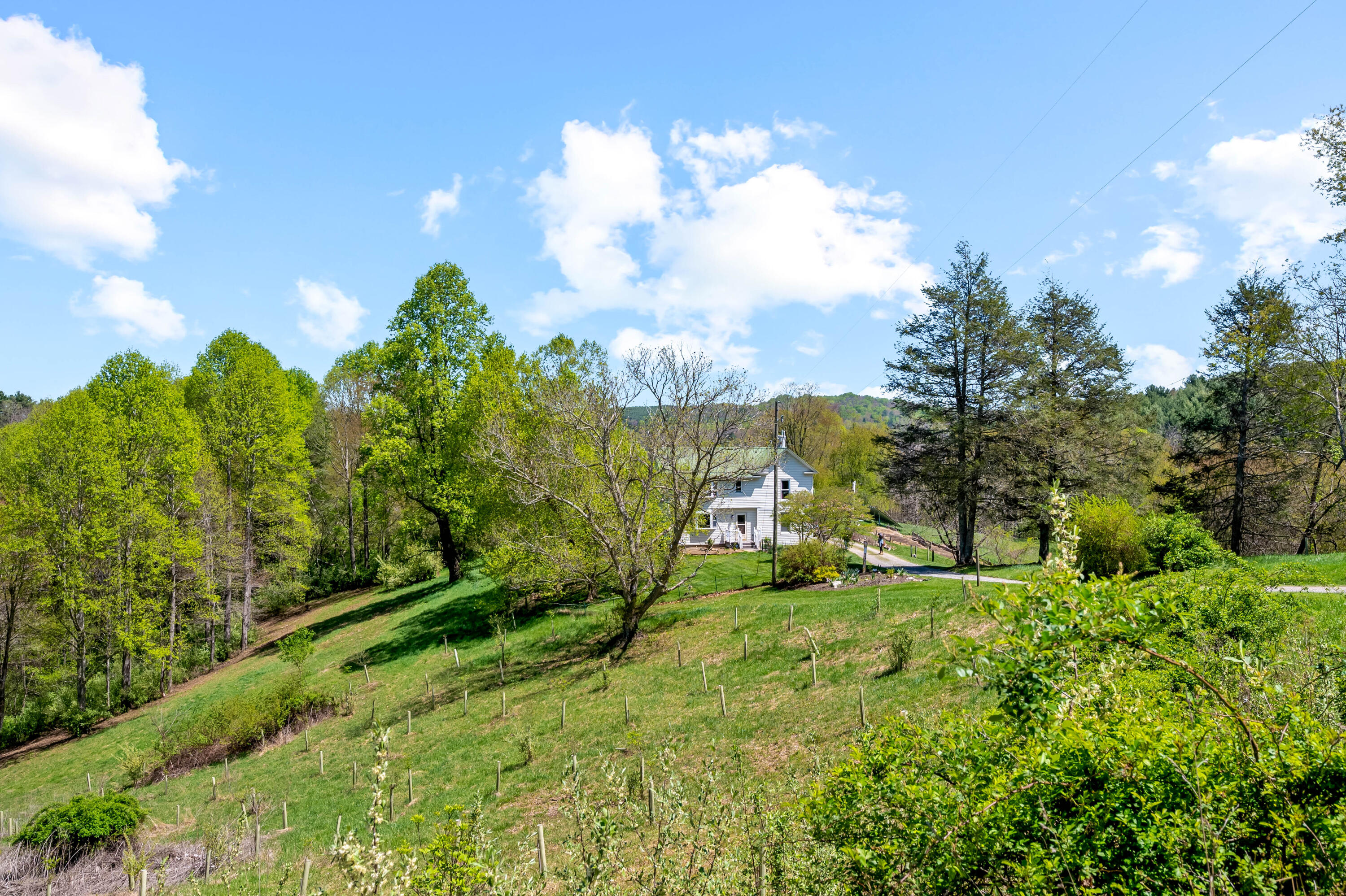 771 White Oak Grove Road Northeast Riner, VA 24149 - Photo 54 of 113 a view of an outdoor space and a yard