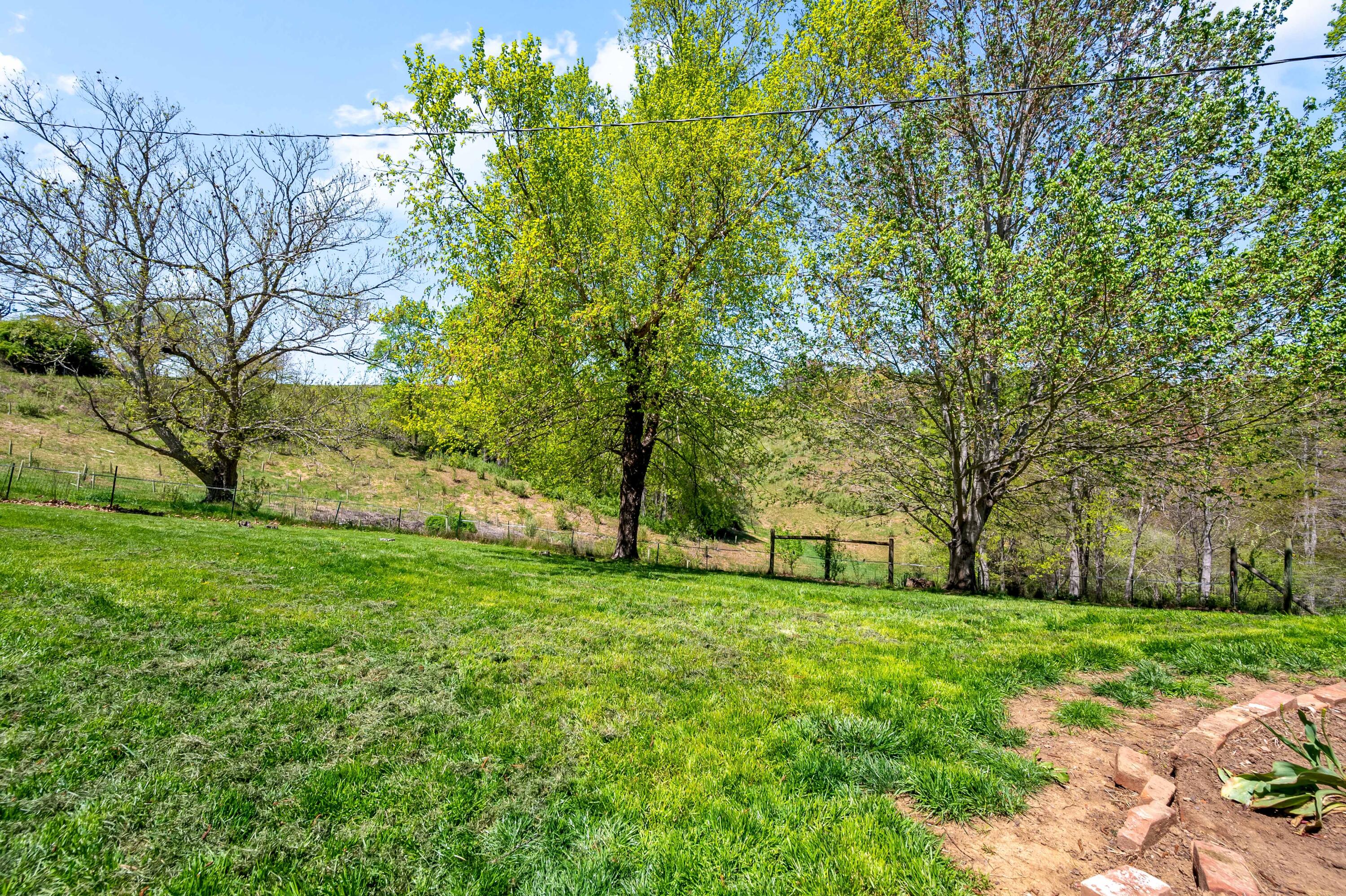 771 White Oak Grove Road Northeast Riner, VA 24149 - Photo 72 of 113 a view of a park with large trees