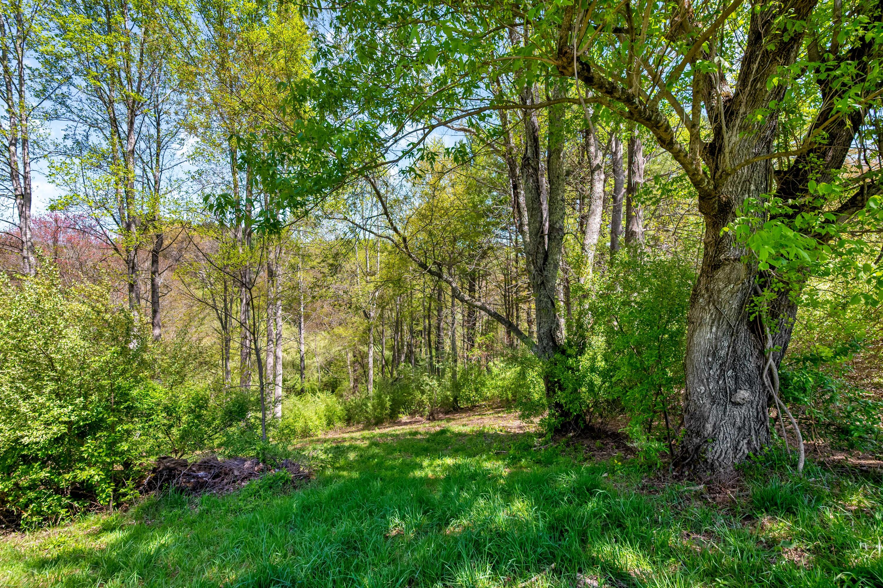771 White Oak Grove Road Northeast Riner, VA 24149 - Photo 73 of 113 riner-55