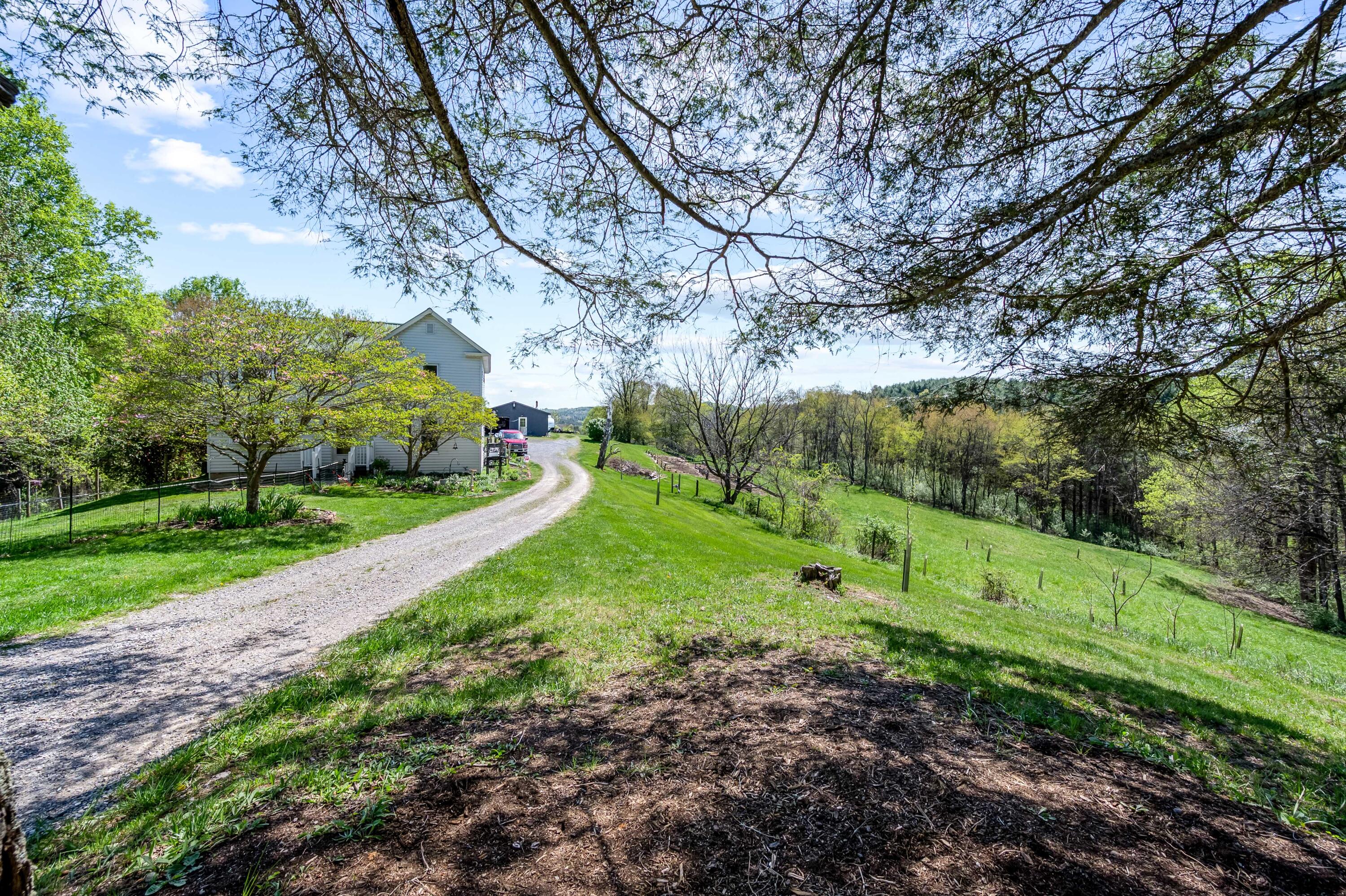 771 White Oak Grove Road Northeast Riner, VA 24149 - Photo 74 of 113 a view of a park with large trees