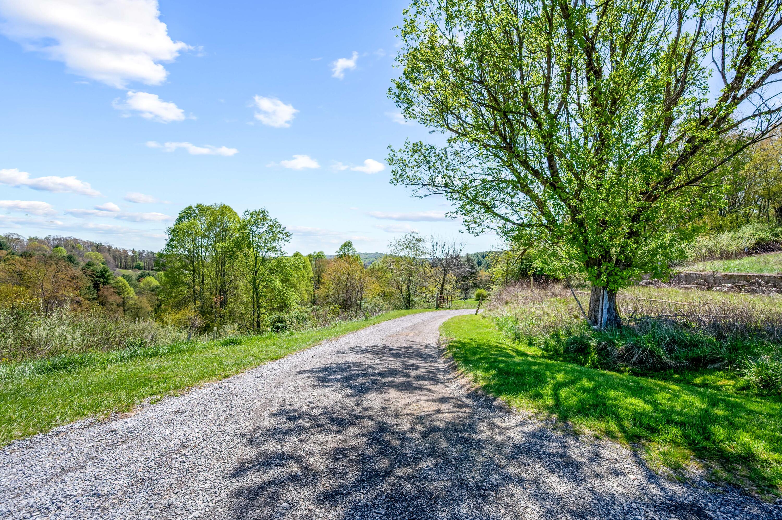 771 White Oak Grove Road Northeast Riner, VA 24149 - Photo 77 of 113 a view of a yard with plants and a large tree