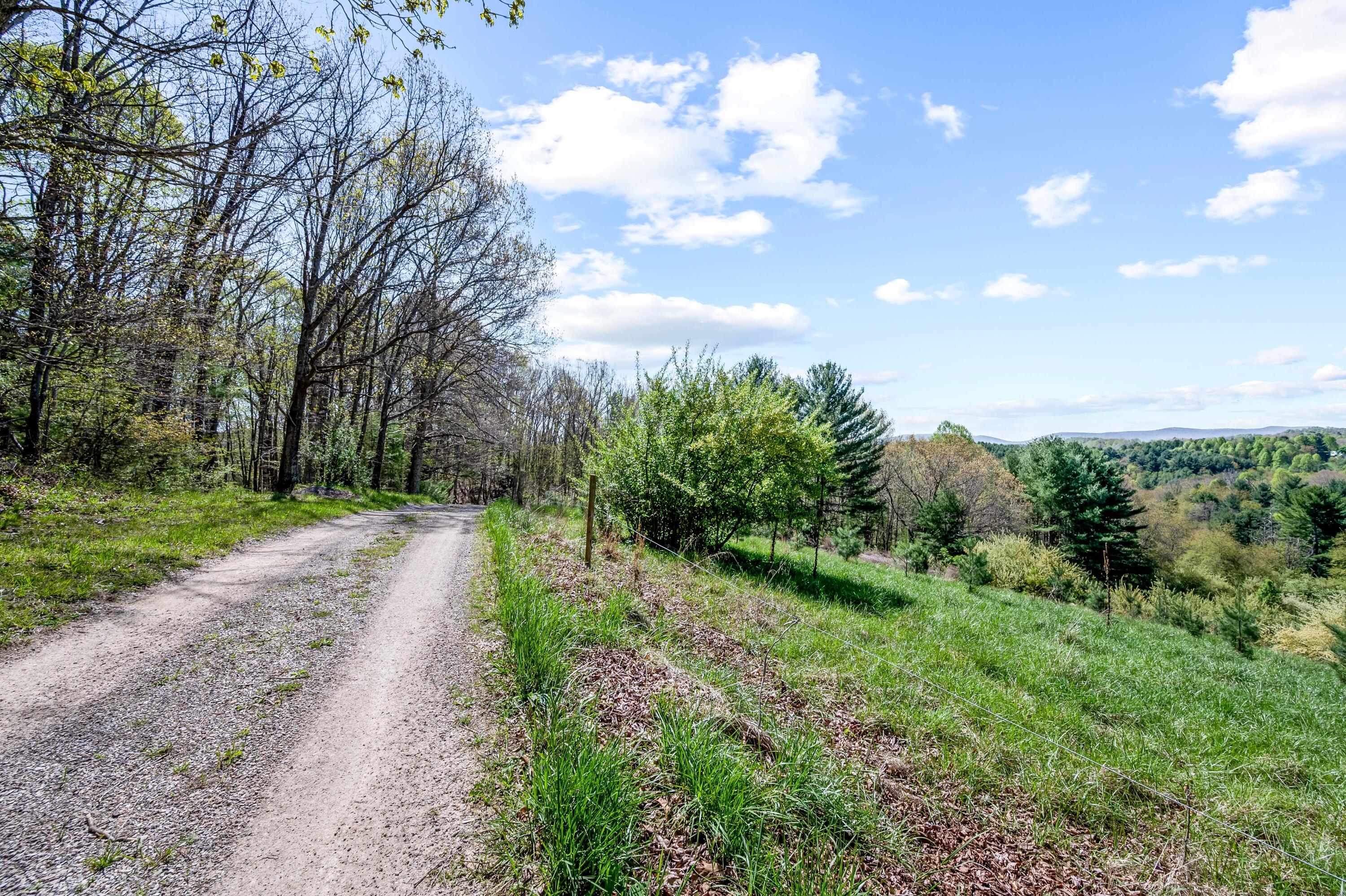771 White Oak Grove Road Northeast Riner, VA 24149 - Photo 78 of 113 a view of a pathway with a garden