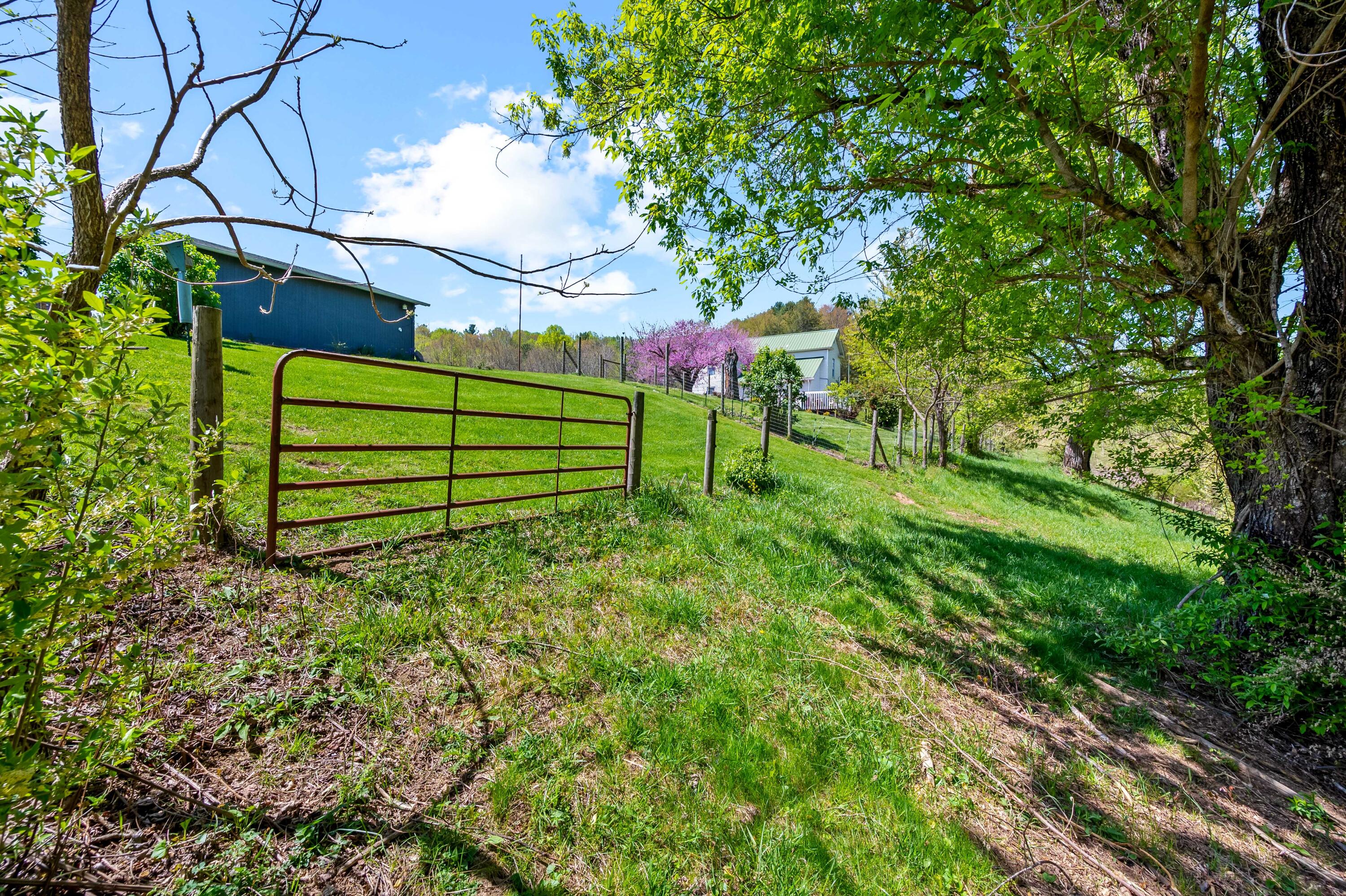 771 White Oak Grove Road Northeast Riner, VA 24149 - Photo 79 of 113 a backyard of a house with lots of green space