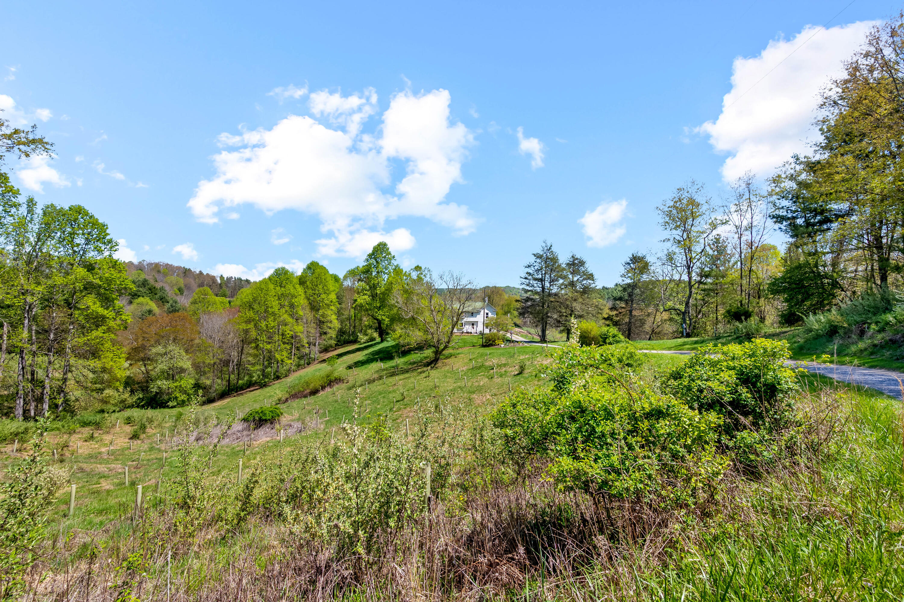 771 White Oak Grove Road Northeast Riner, VA 24149 - Photo 80 of 113 riner-120