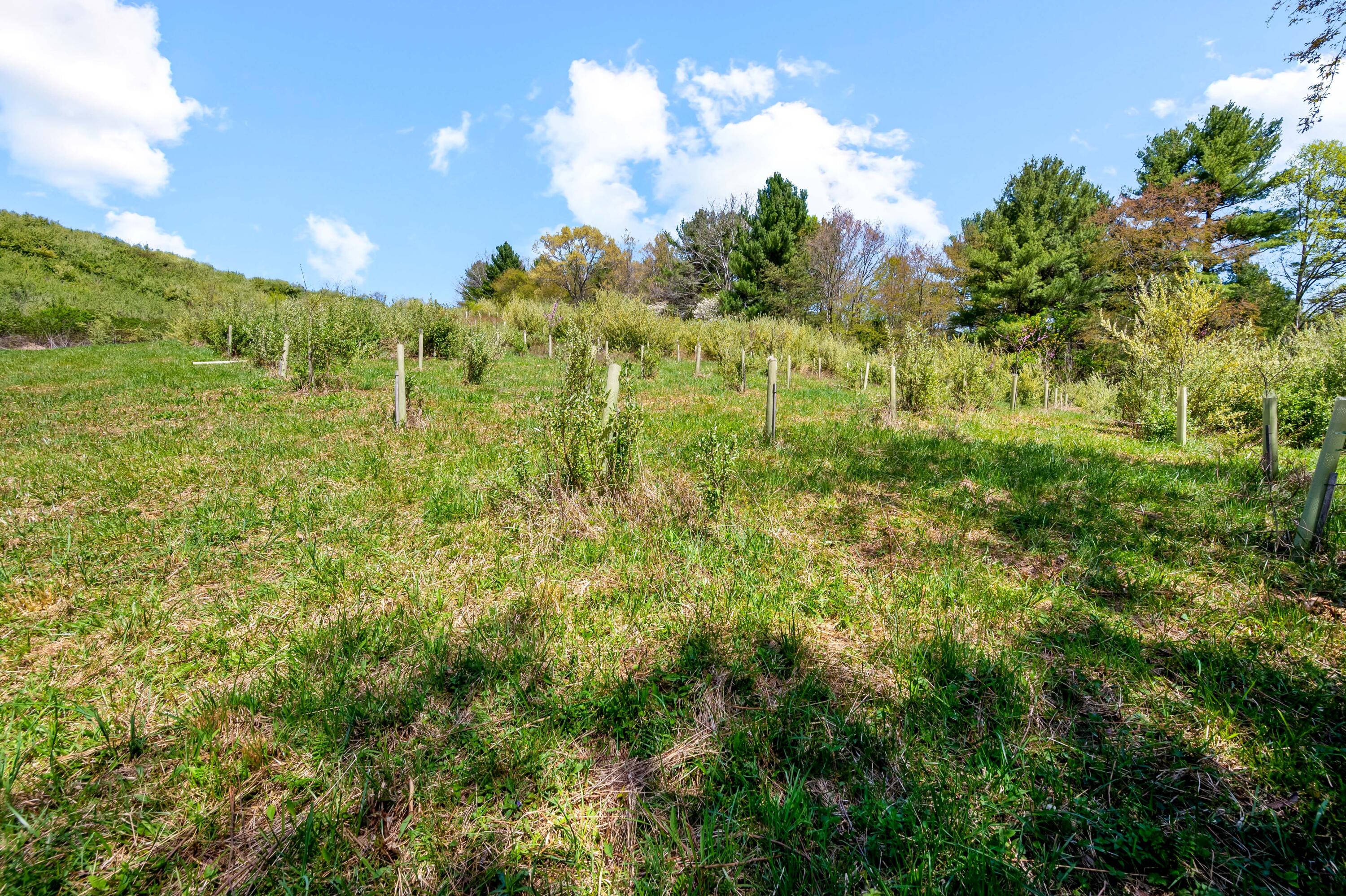 771 White Oak Grove Road Northeast Riner, VA 24149 - Photo 82 of 113 riner-57