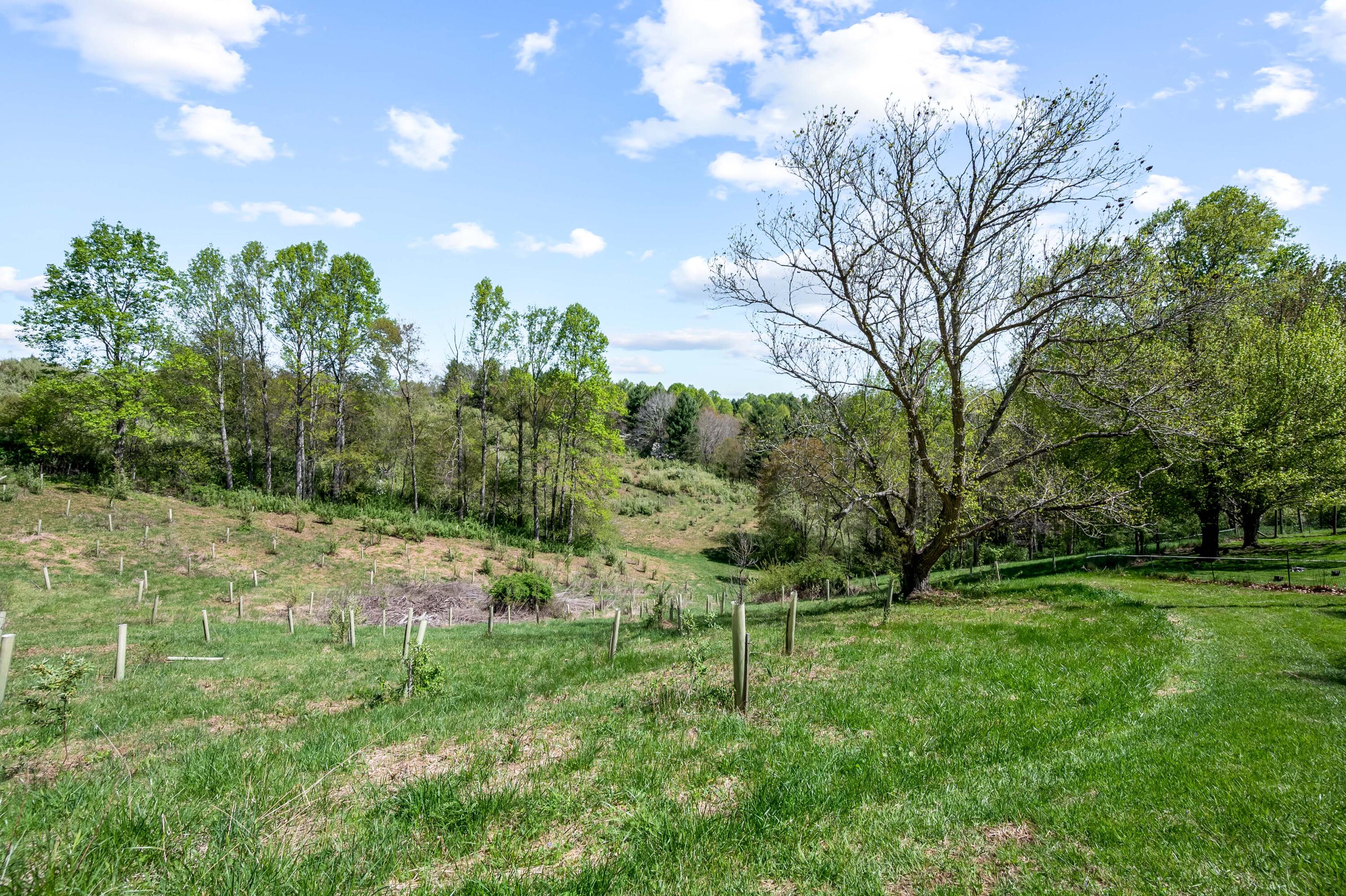 771 White Oak Grove Road Northeast Riner, VA 24149 - Photo 83 of 113 a backyard of a house with lots of green space