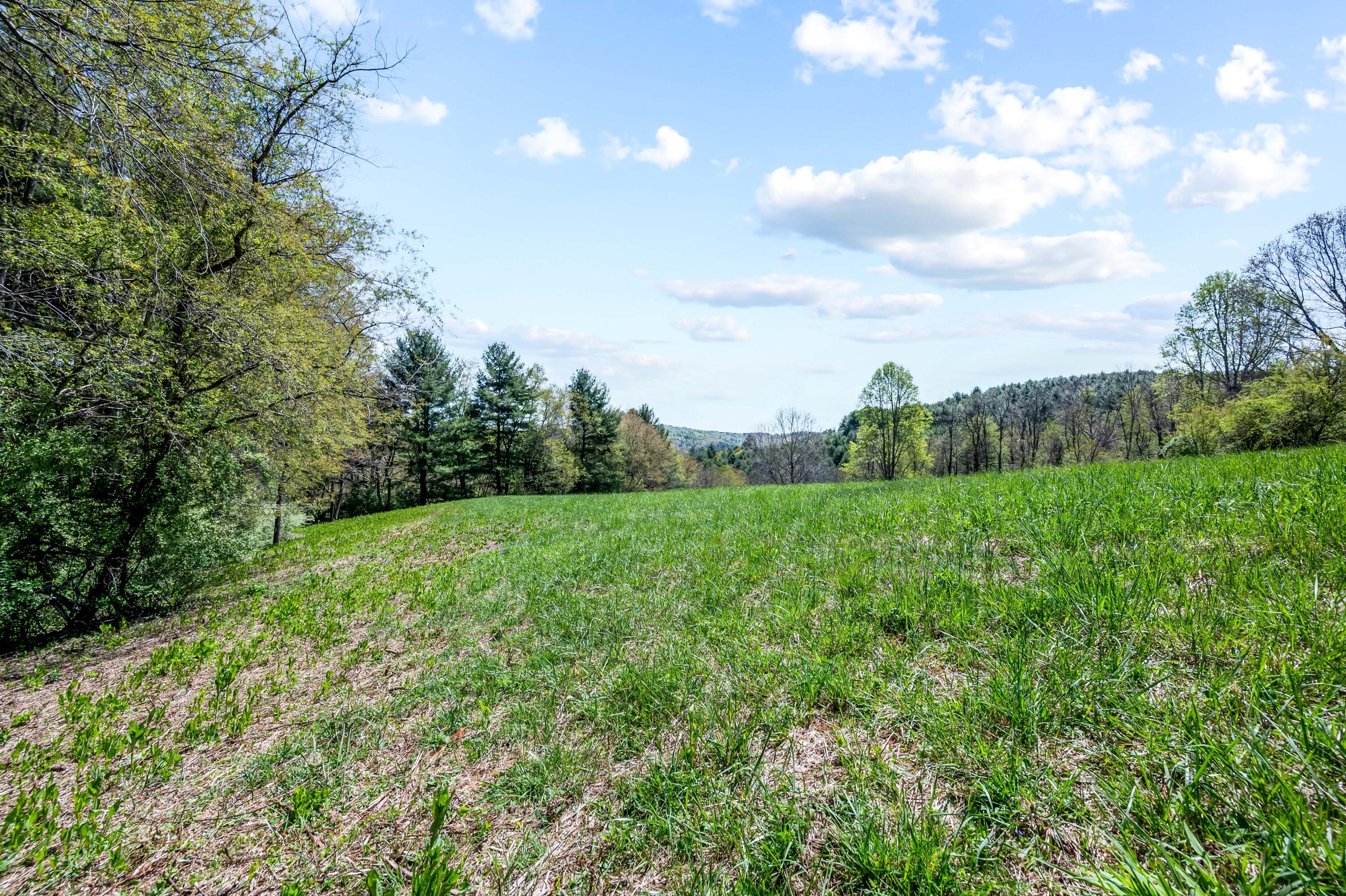 771 White Oak Grove Road Northeast Riner, VA 24149 - Photo 84 of 113 a view of a big yard with plants and large trees