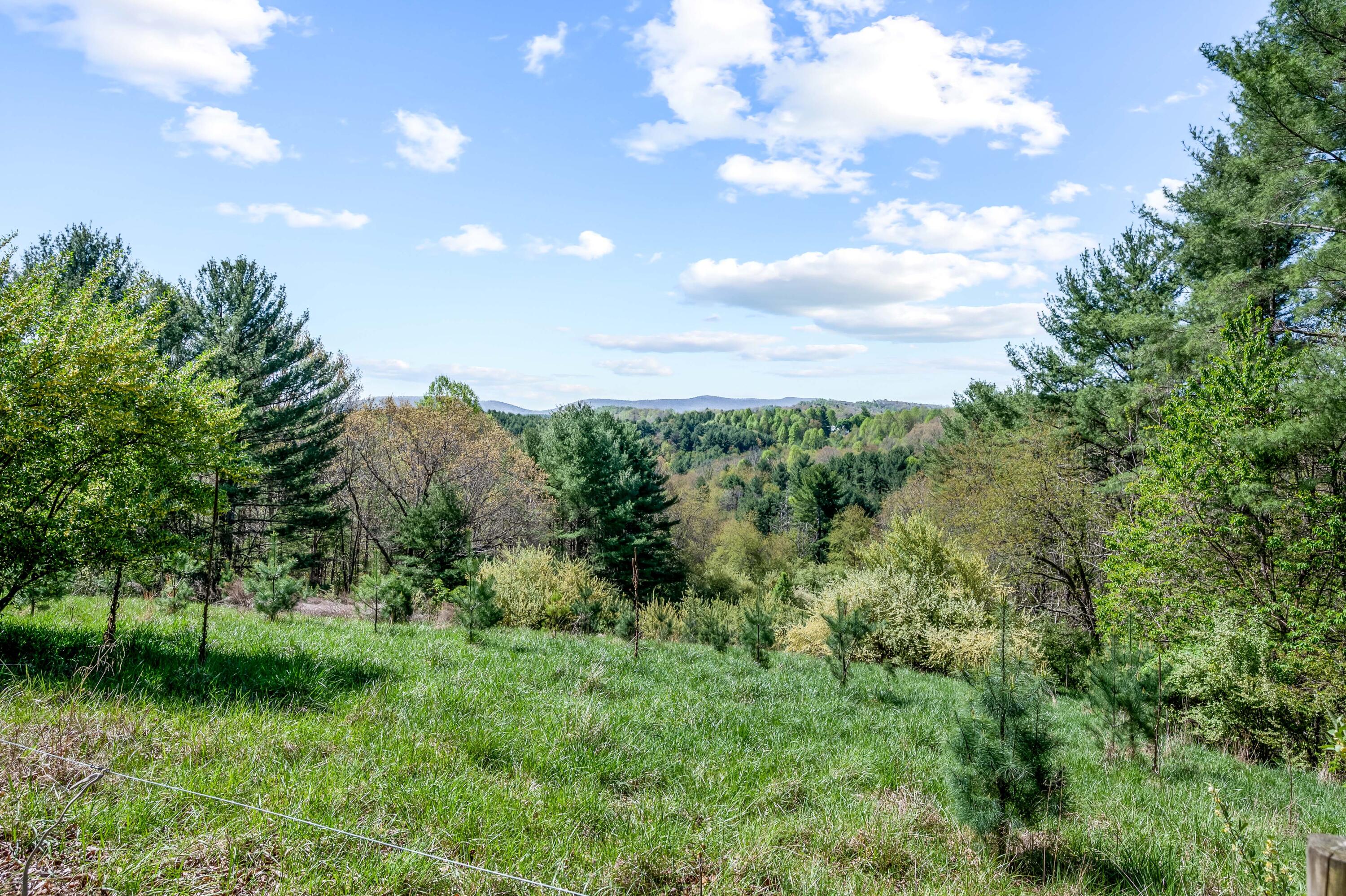 771 White Oak Grove Road Northeast Riner, VA 24149 - Photo 85 of 113 a view of a green field with lots of bushes