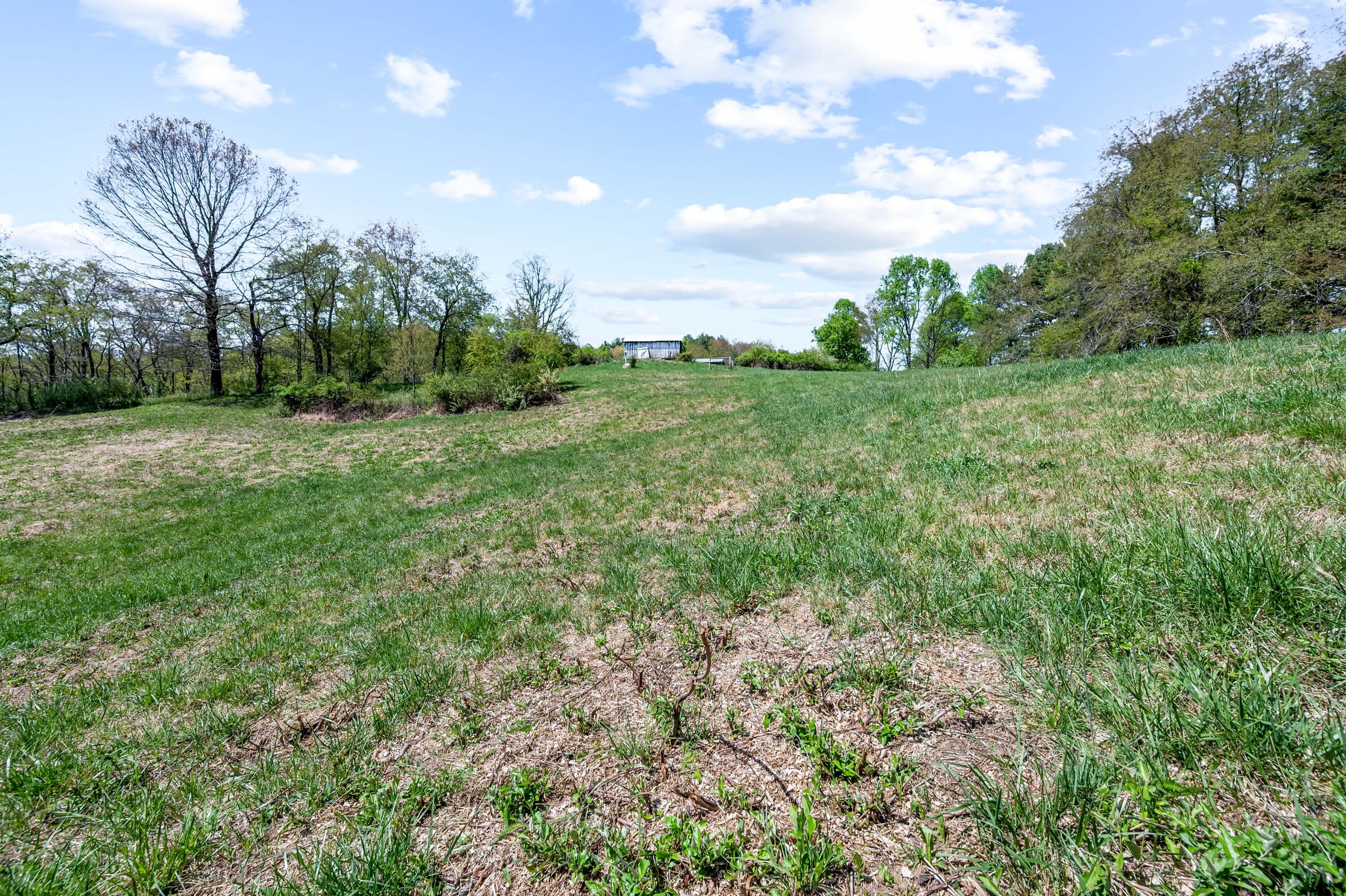 771 White Oak Grove Road Northeast Riner, VA 24149 - Photo 86 of 113 a view of a green field with lots of bushes