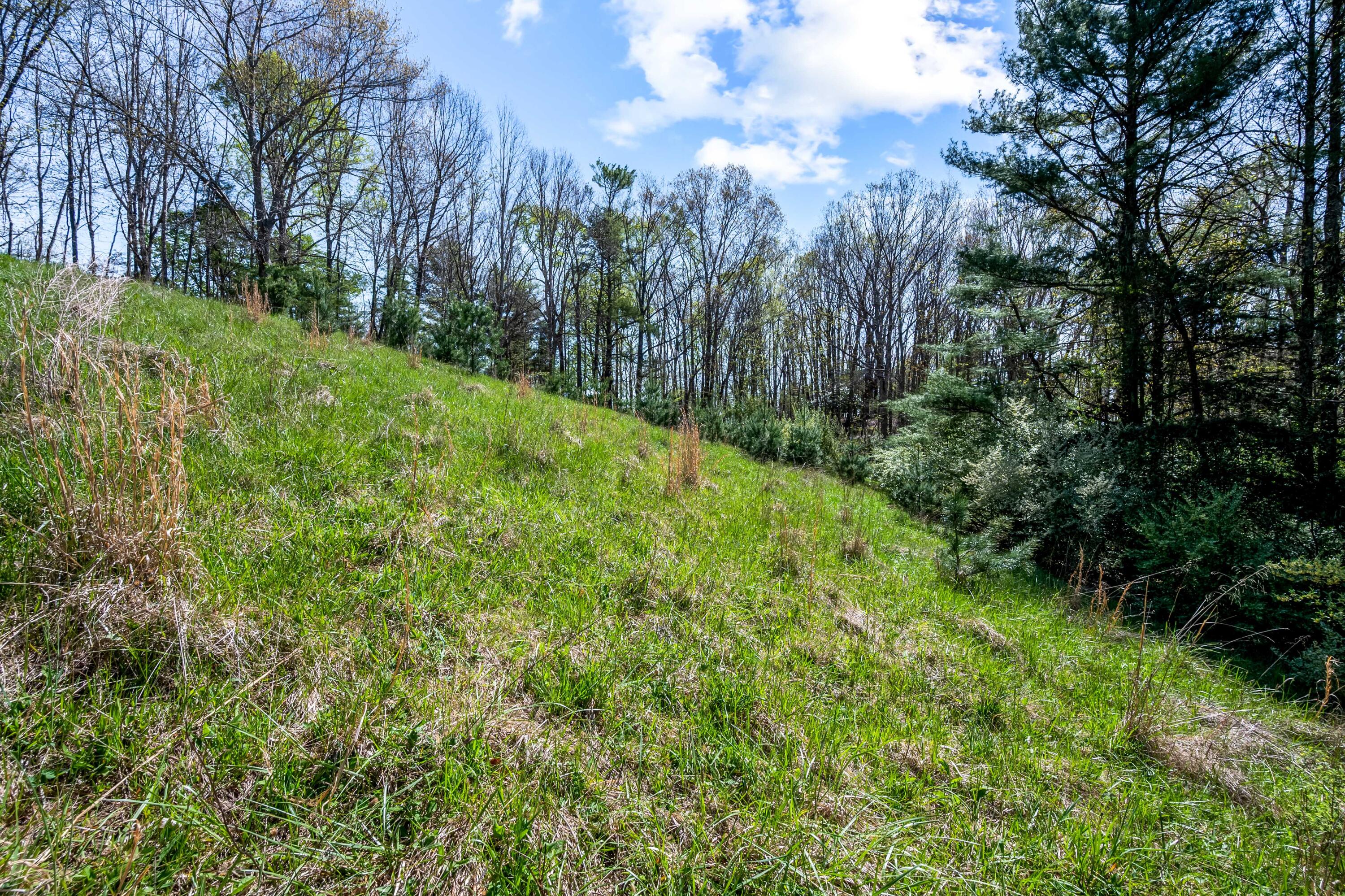 771 White Oak Grove Road Northeast Riner, VA 24149 - Photo 87 of 113 riner-5