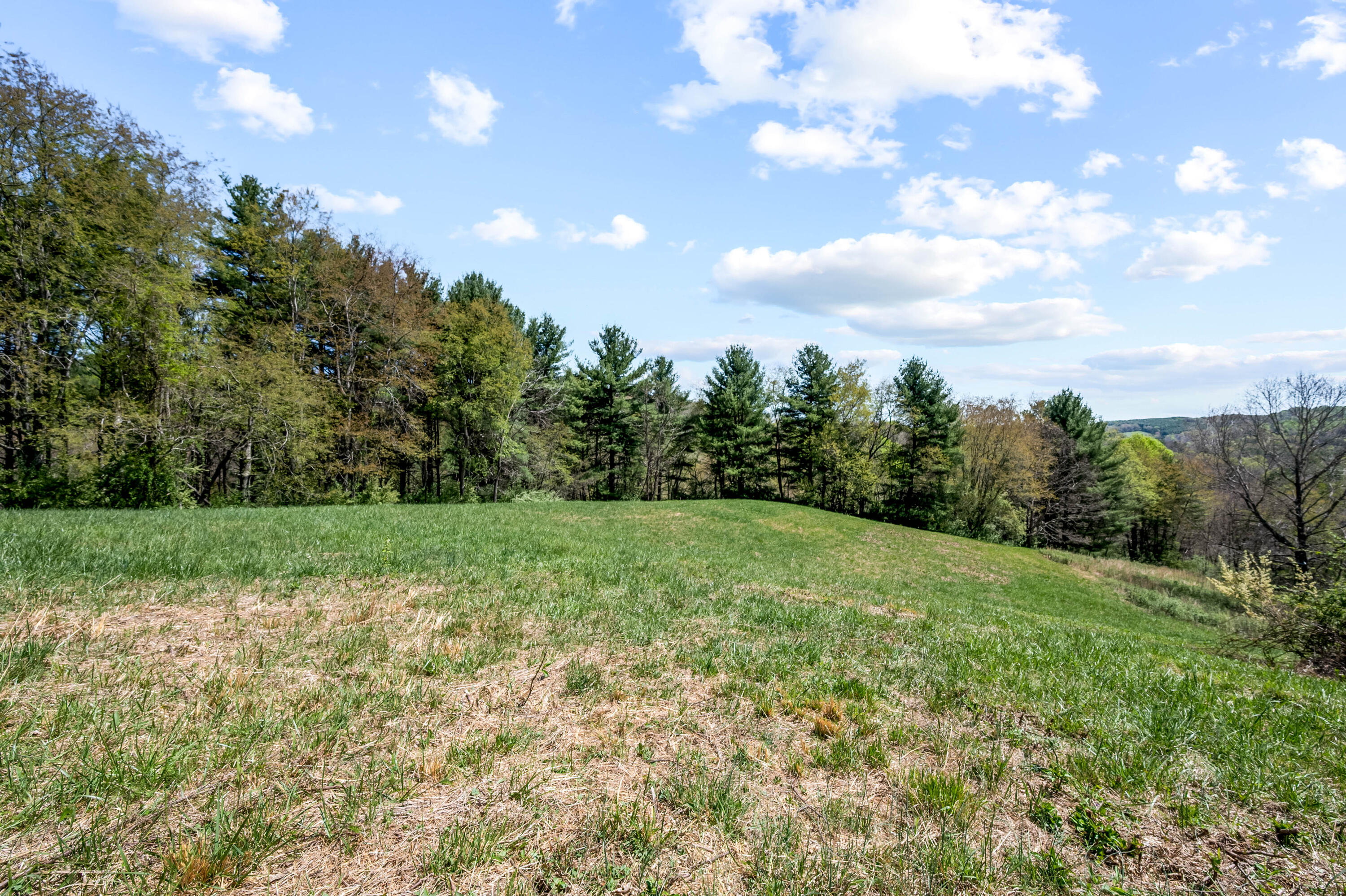 771 White Oak Grove Road Northeast Riner, VA 24149 - Photo 88 of 113 riner-49