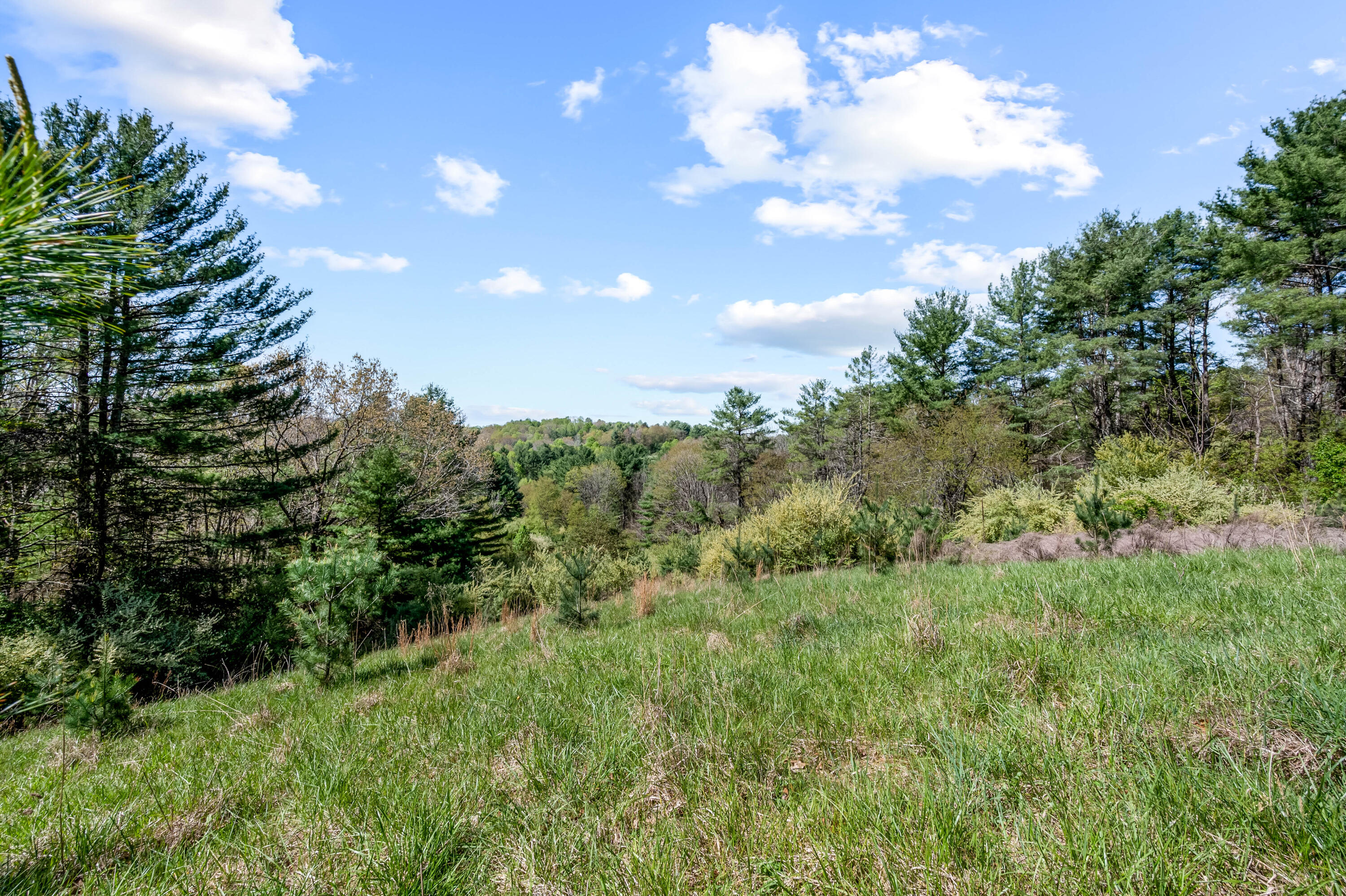 771 White Oak Grove Road Northeast Riner, VA 24149 - Photo 89 of 113 a view of a city with lush green forest