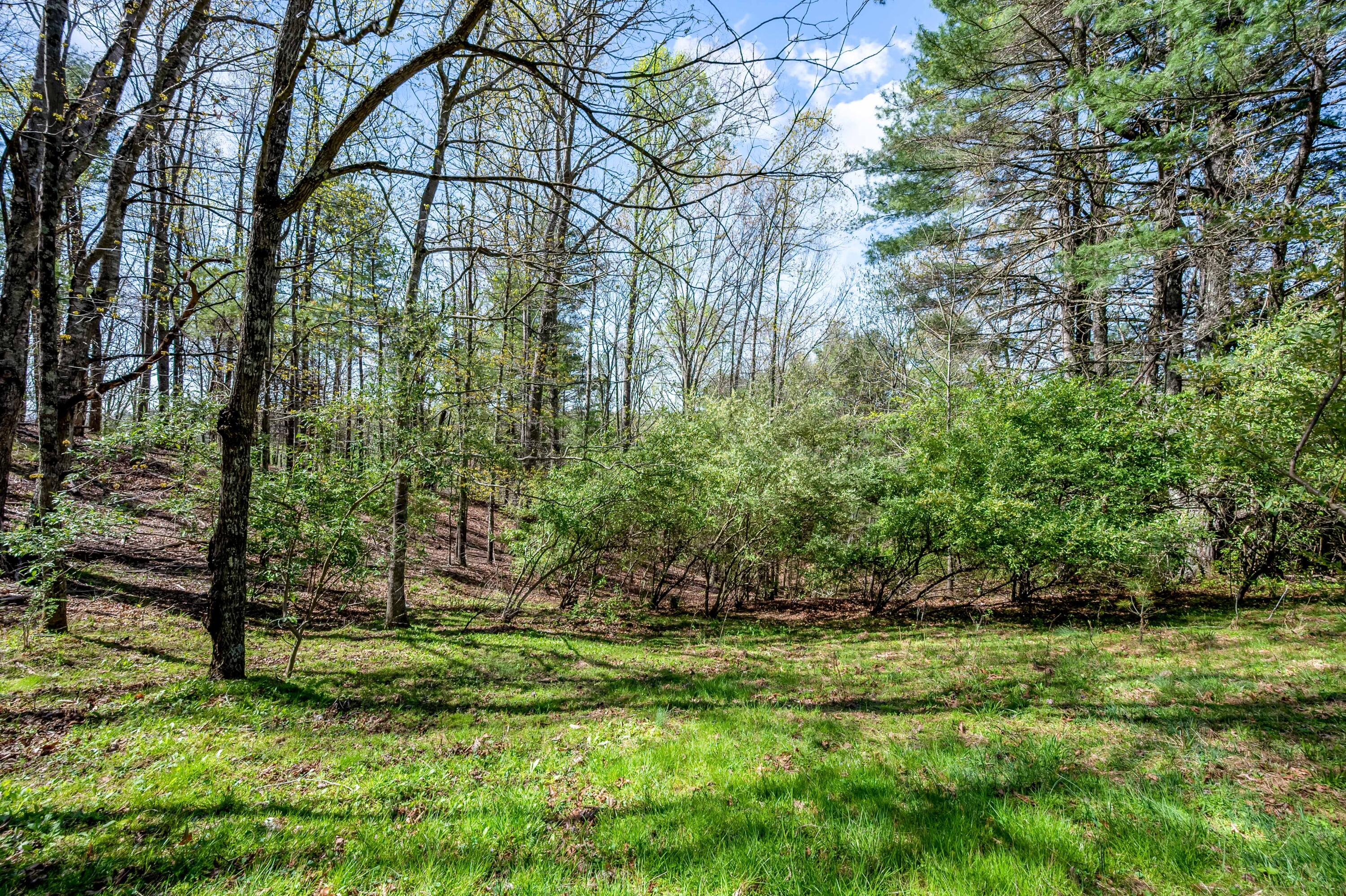 771 White Oak Grove Road Northeast Riner, VA 24149 - Photo 93 of 113 riner-7