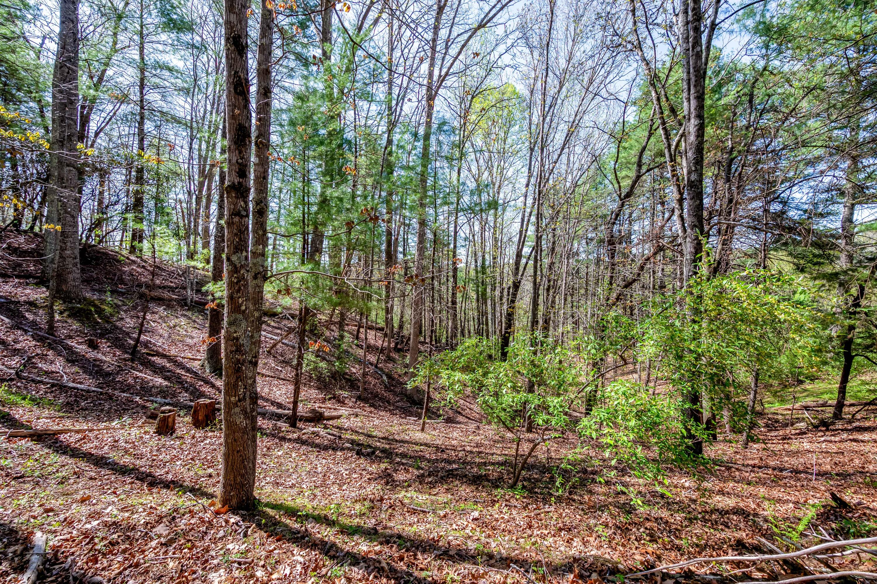 771 White Oak Grove Road Northeast Riner, VA 24149 - Photo 94 of 113 riner-11