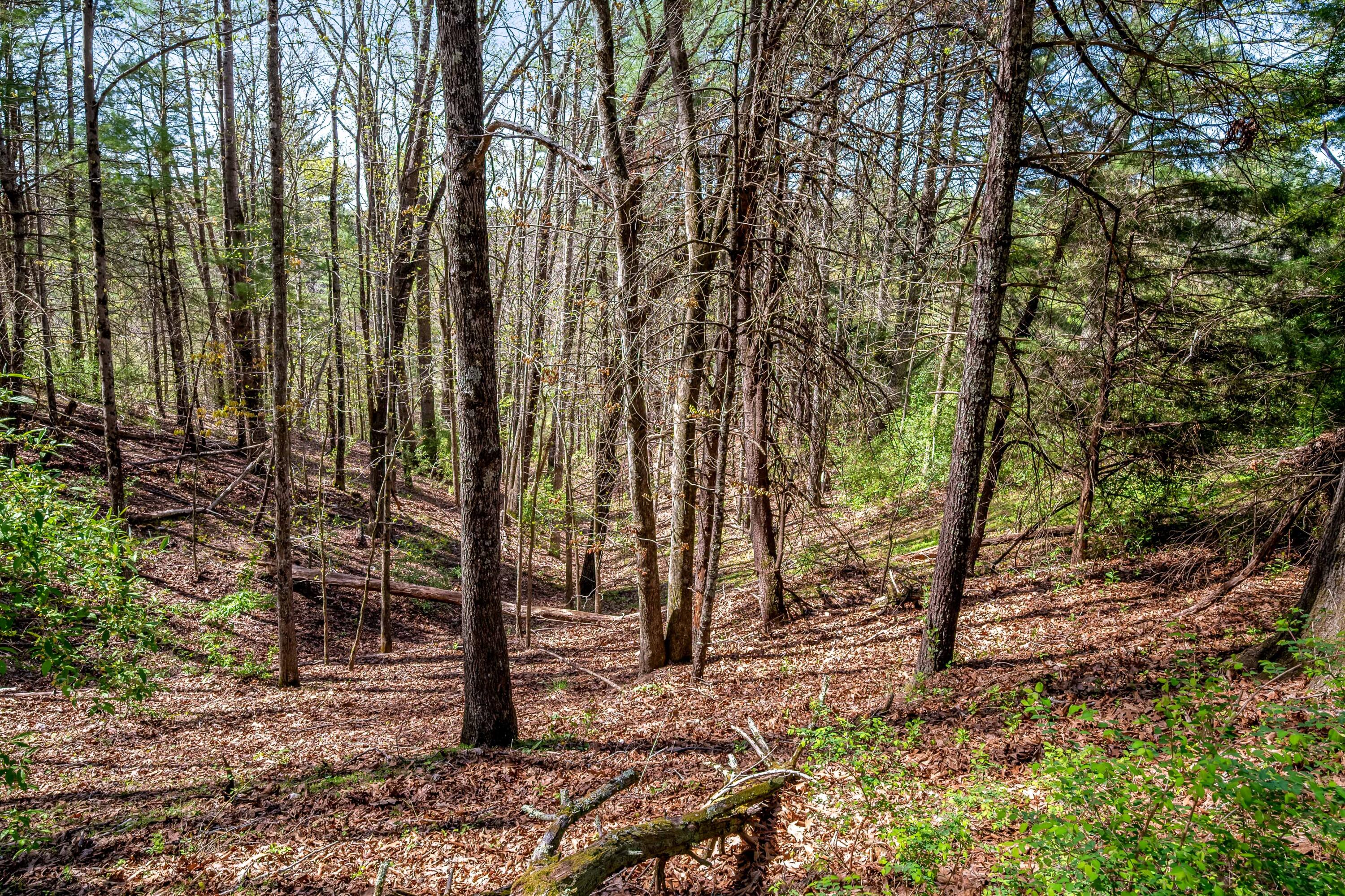 771 White Oak Grove Road Northeast Riner, VA 24149 - Photo 95 of 113 riner-10