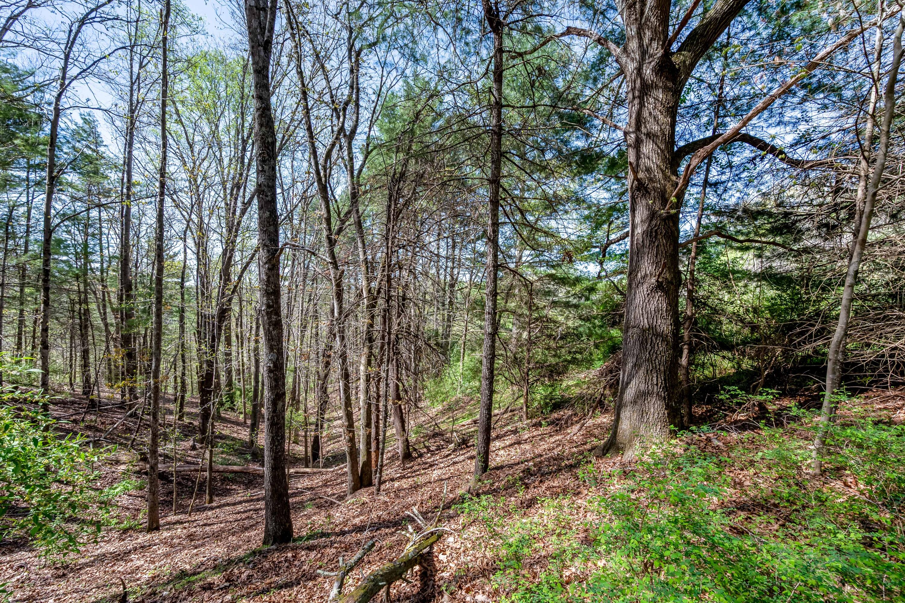 771 White Oak Grove Road Northeast Riner, VA 24149 - Photo 96 of 113 riner-9