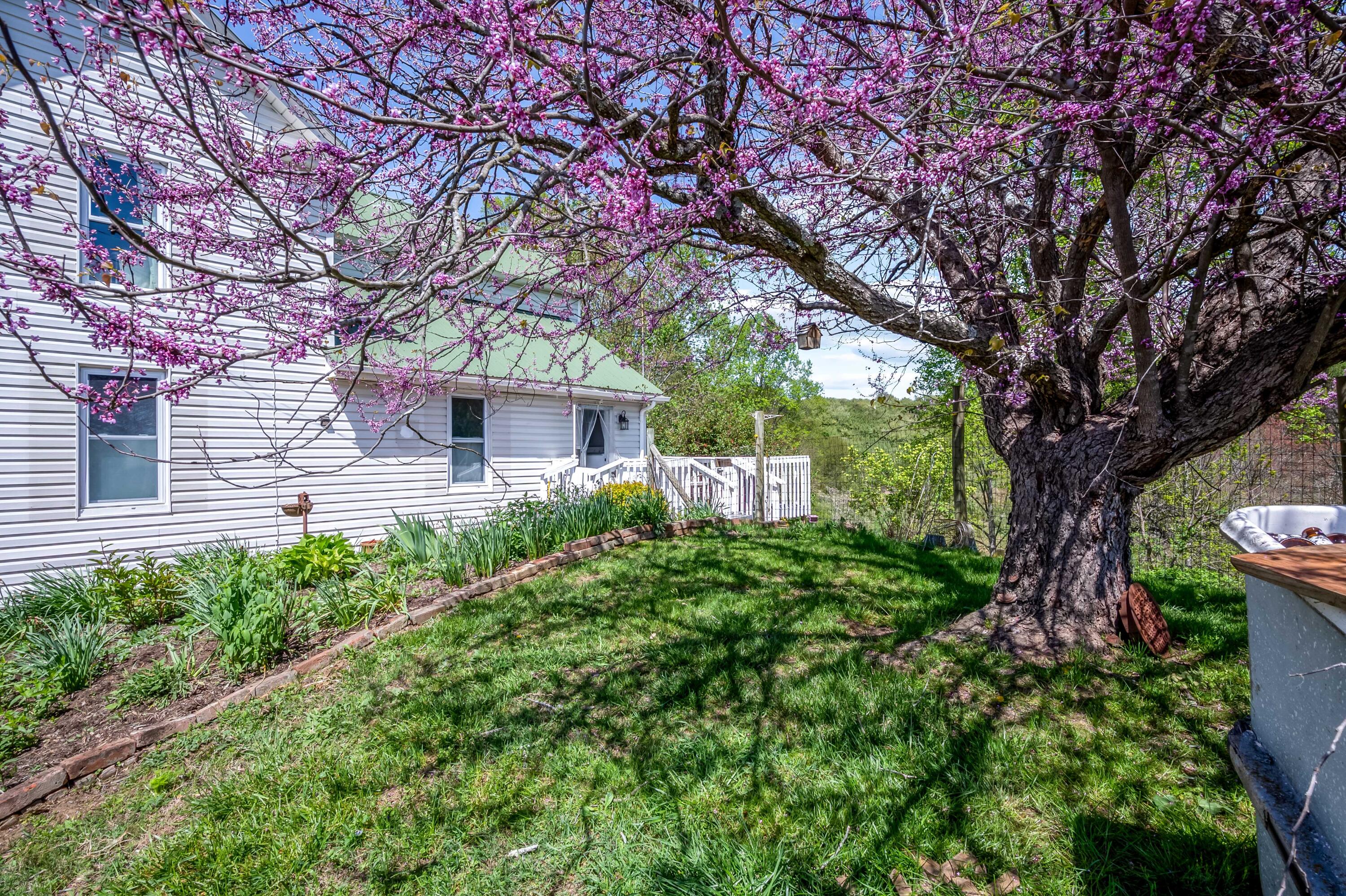 771 White Oak Grove Road Northeast Riner, VA 24149 - Photo 10 of 113 riner-41