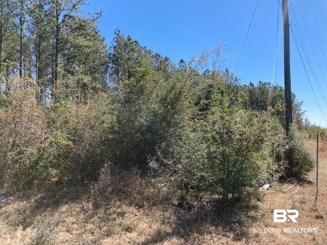 22000-block Highway 31 Flomaton, AL 36441 - Photo 8 of 20