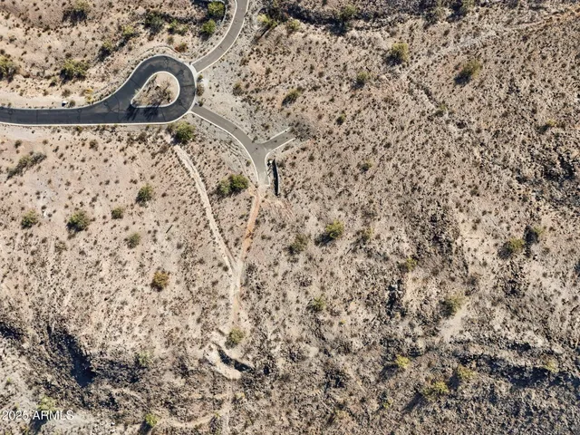 a view of a dry yard