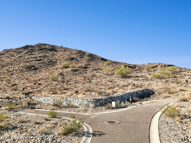 a view of a very nice looking yard