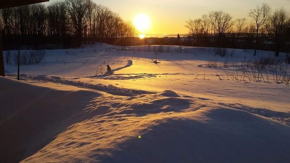 51 West Meadow Road Rockland, ME 04841 - Photo 10 of 20 FB_IMG_1504362858122