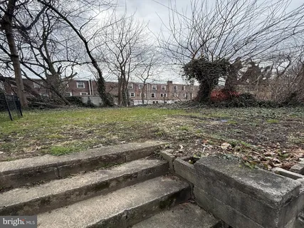 a view of a yard with a tree