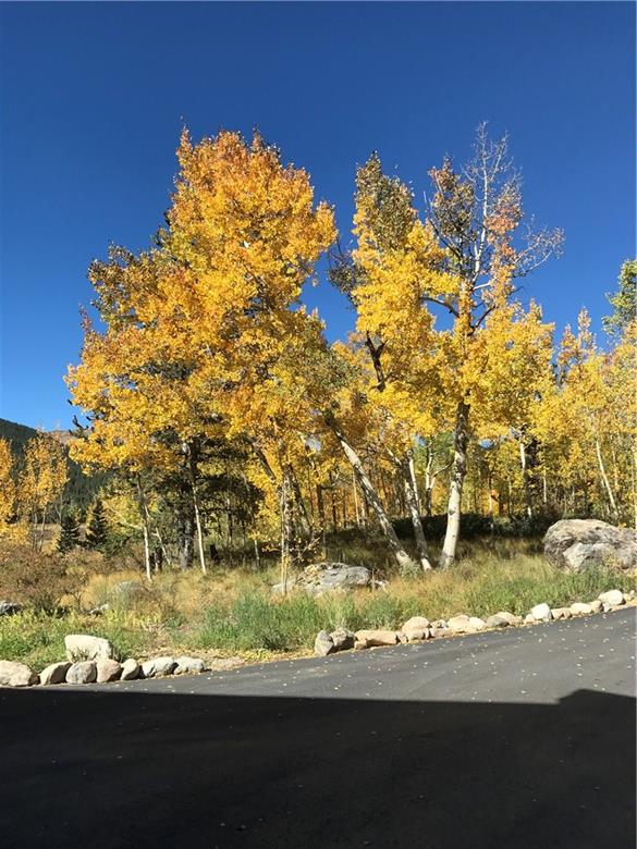 112 Adventure Road Alma, CO 80420 - Photo 21 of 23 Gallery Image 21