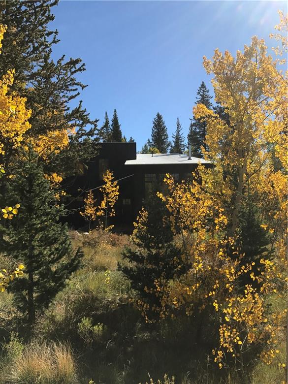 112 Adventure Road Alma, CO 80420 - Photo 23 of 23 Gallery Image 23