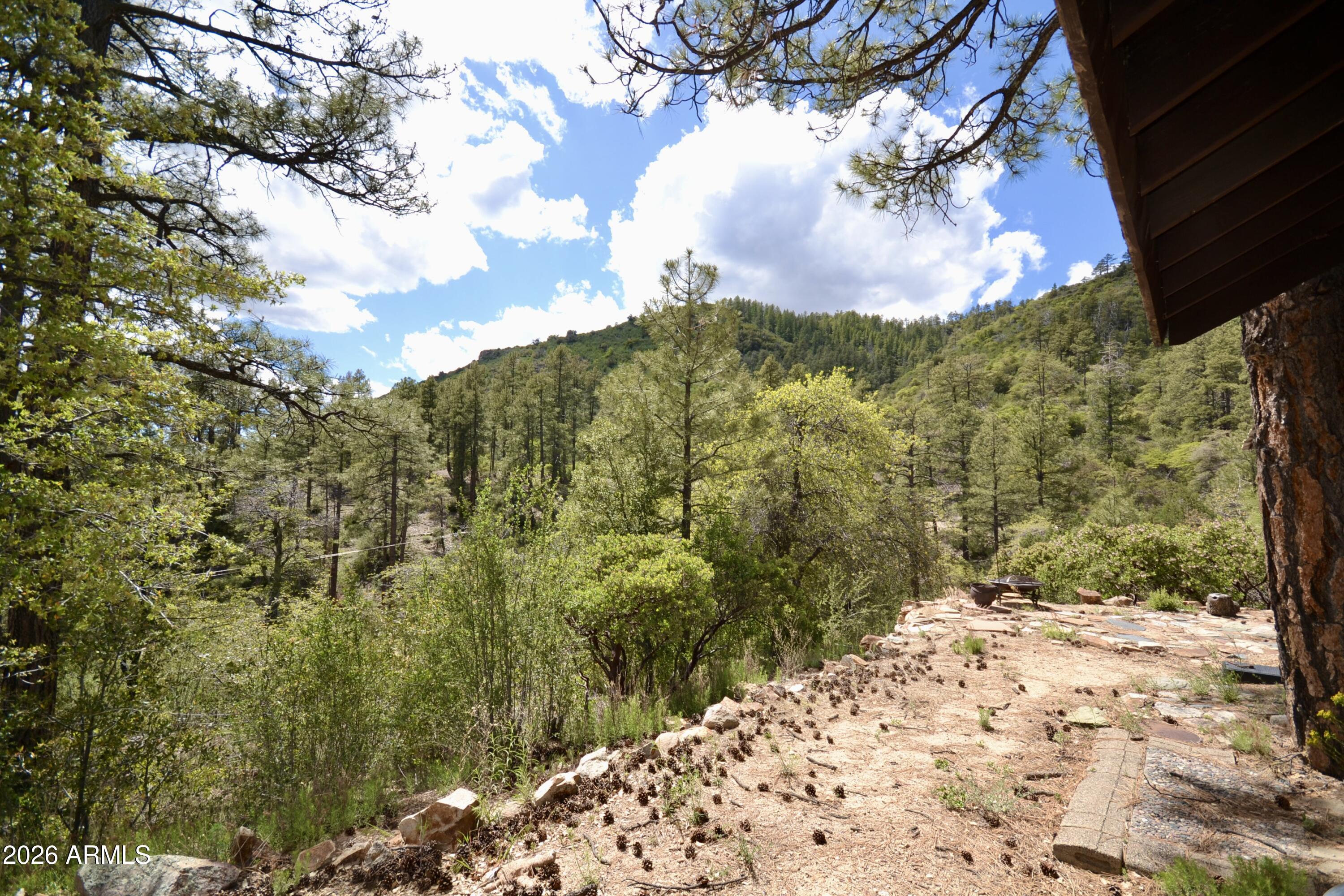 23617 South Demascus Road Crown King, AZ 86343 - Photo 36 of 52 DSC_0912