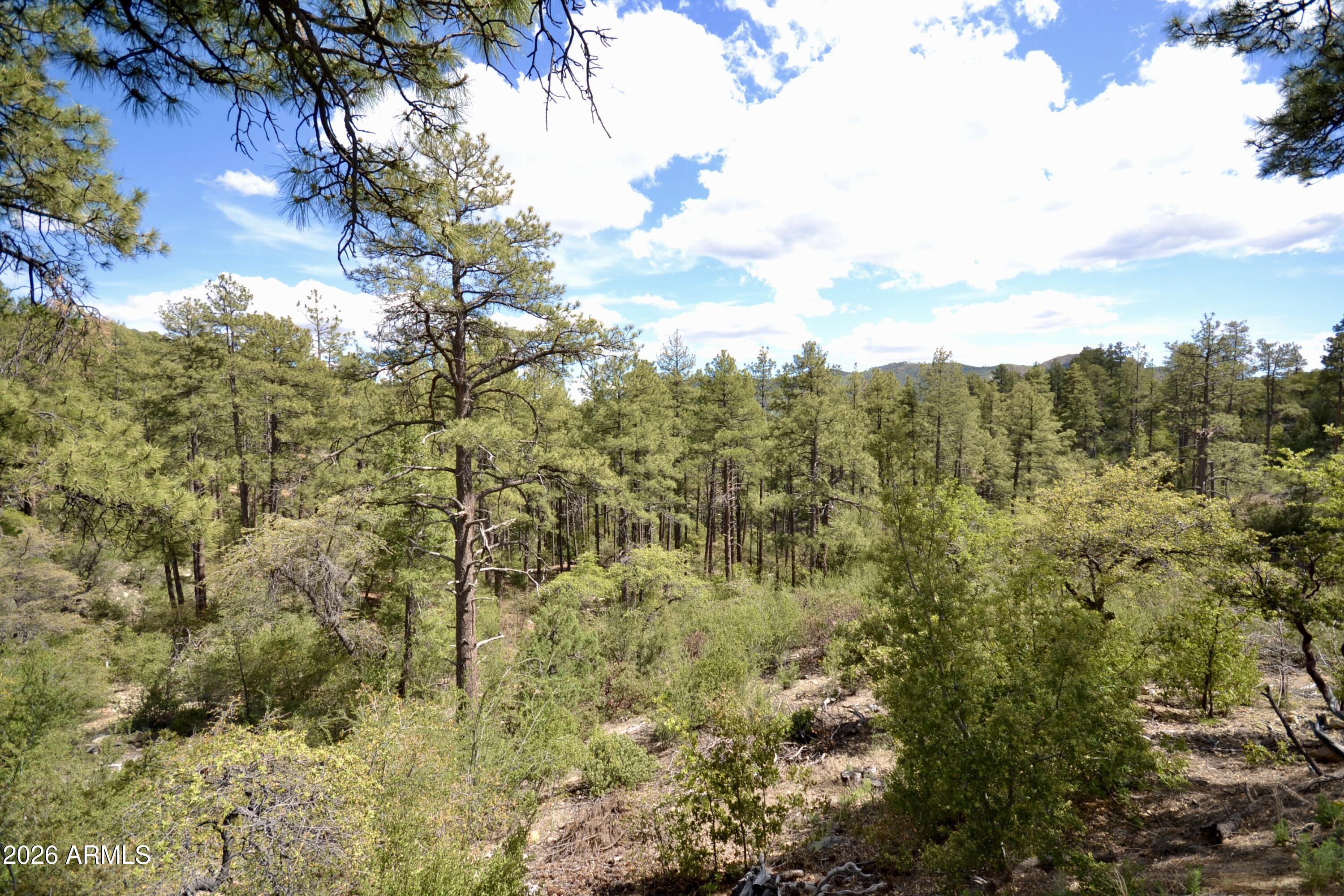 23617 South Demascus Road Crown King, AZ 86343 - Photo 37 of 52 DSC_0903
