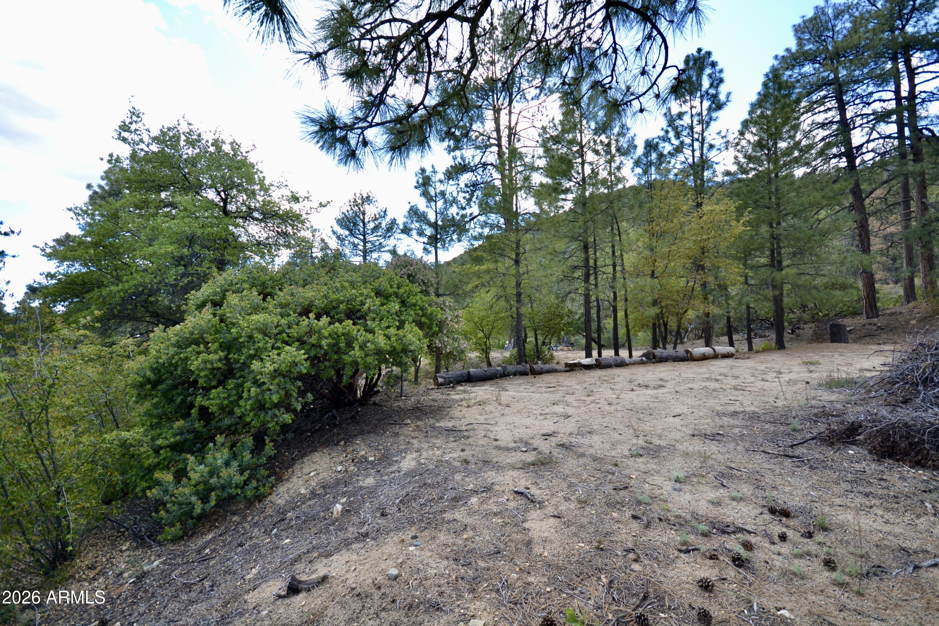 23617 South Demascus Road Crown King, AZ 86343 - Photo 38 of 52 DSC_0943