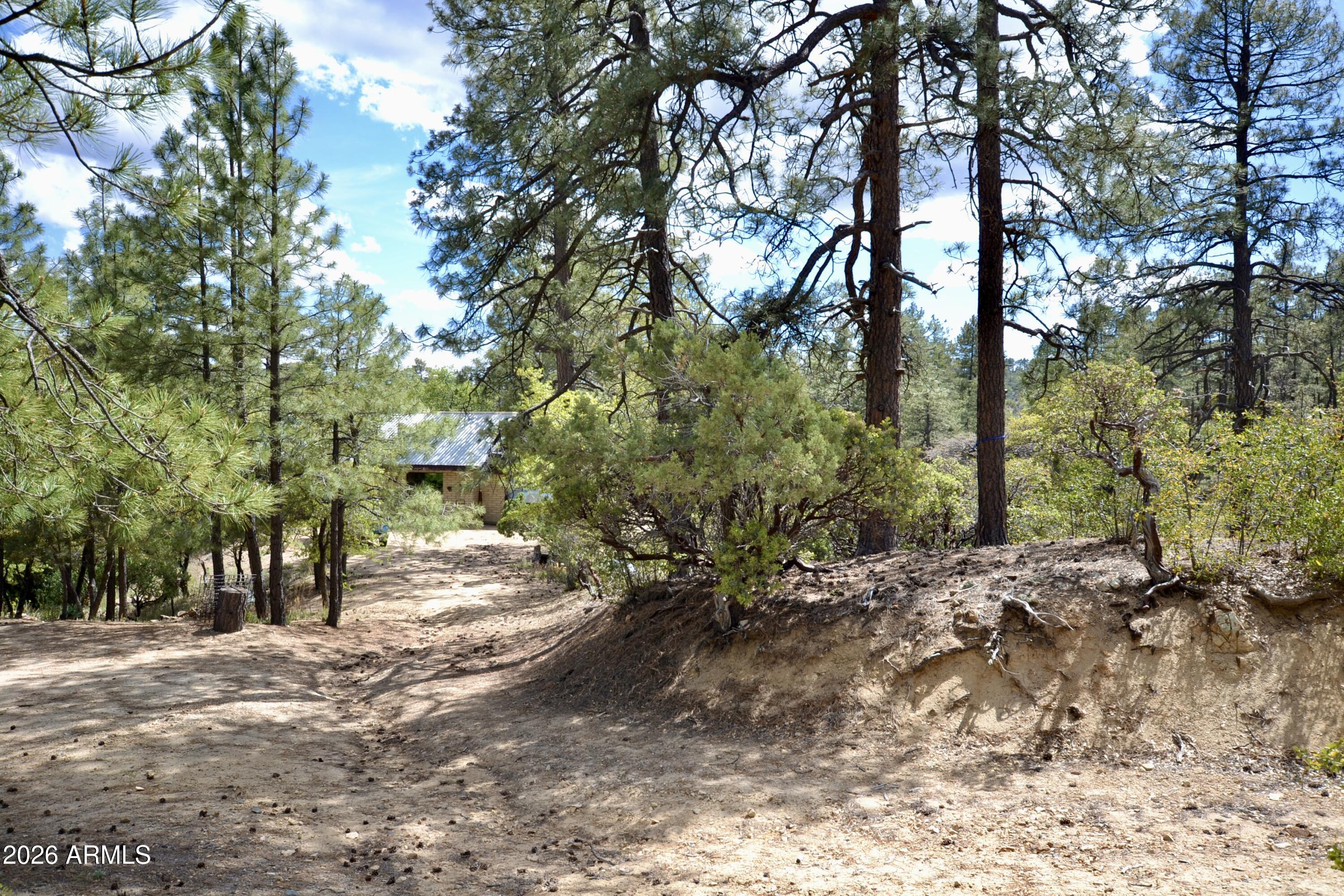 23617 South Demascus Road Crown King, AZ 86343 - Photo 42 of 52 DSC_0947
