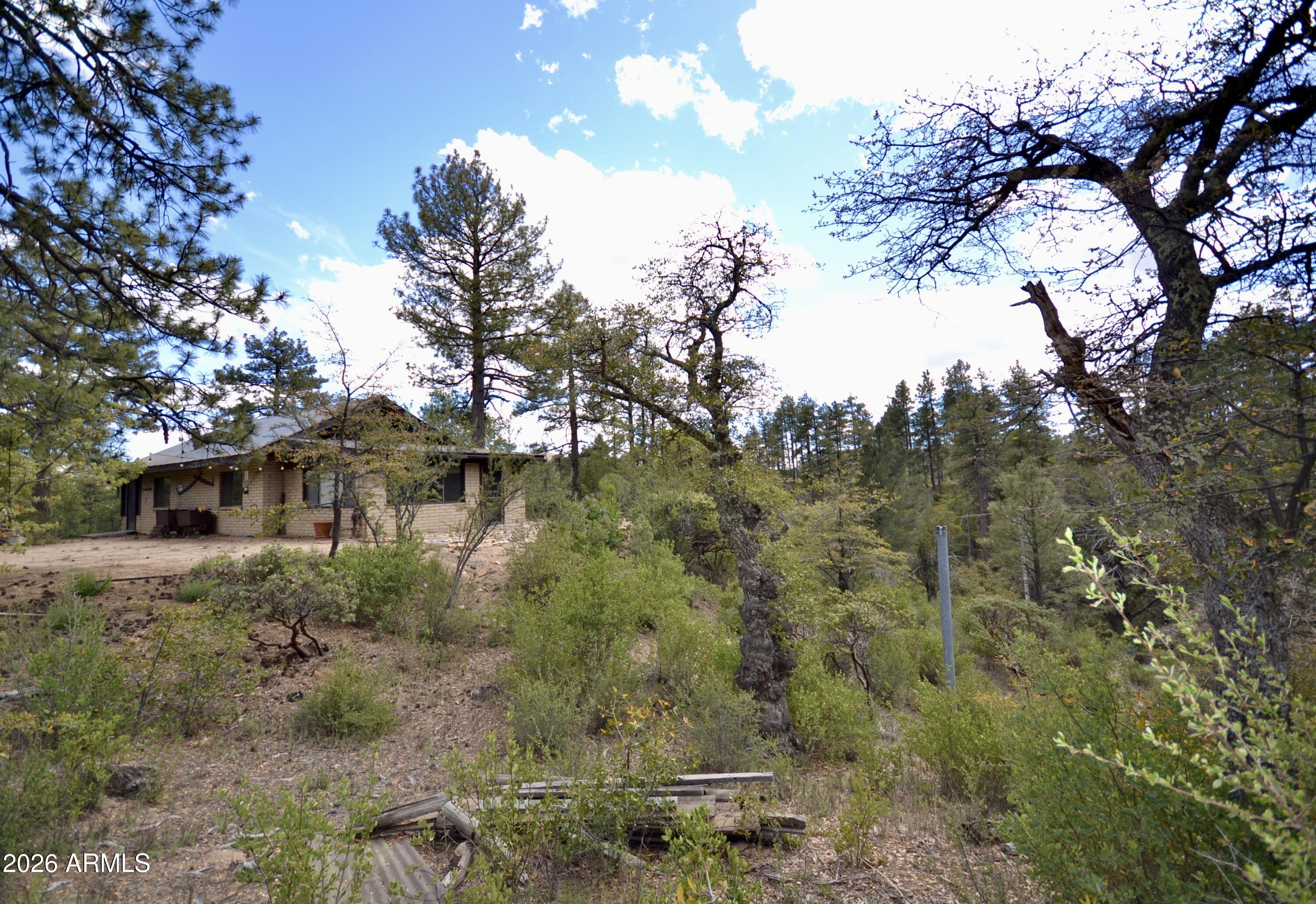 23617 South Demascus Road Crown King, AZ 86343 - Photo 43 of 52 DSC_0940