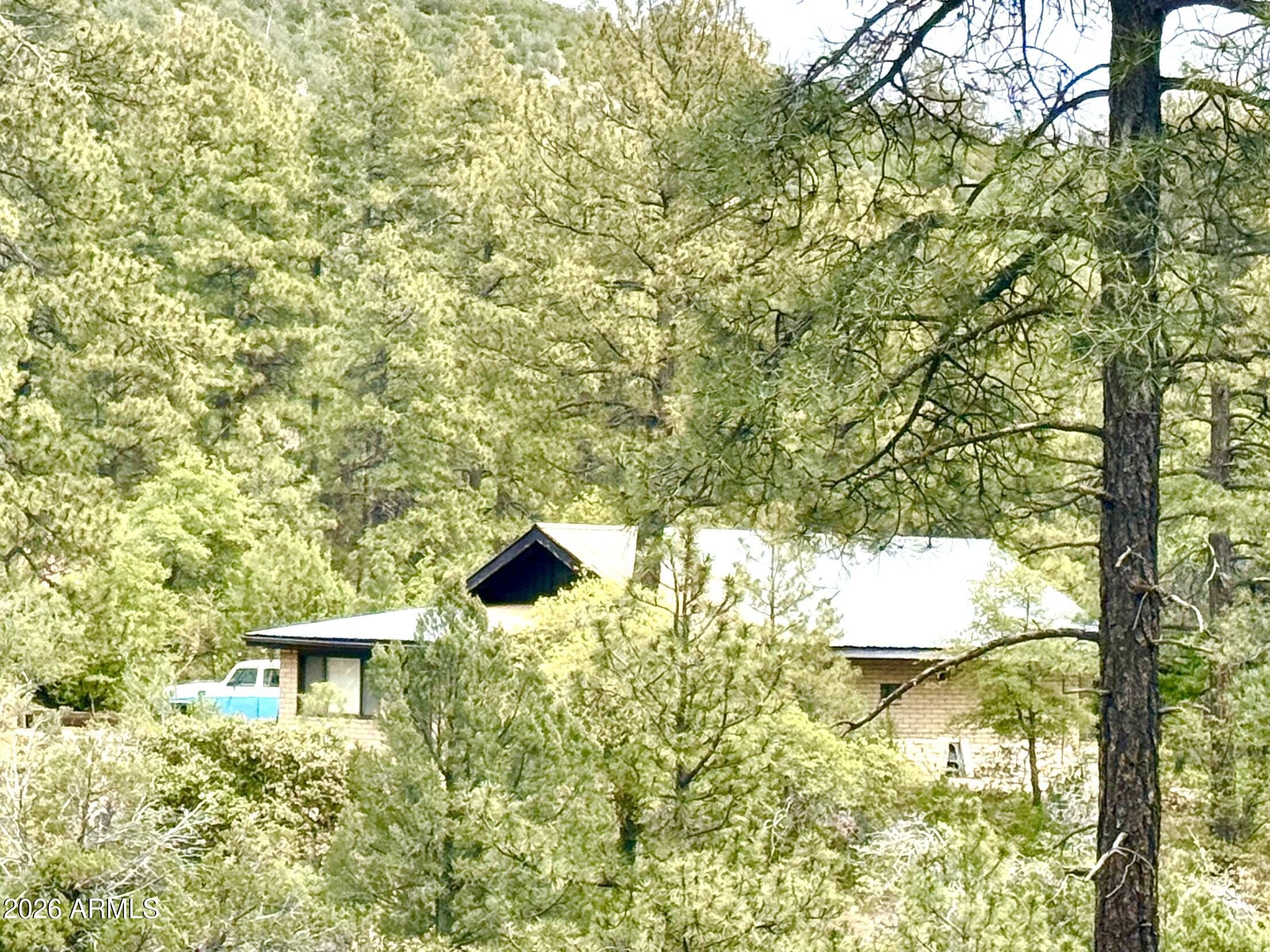 23617 South Demascus Road Crown King, AZ 86343 - Photo 50 of 52 IMG_2812