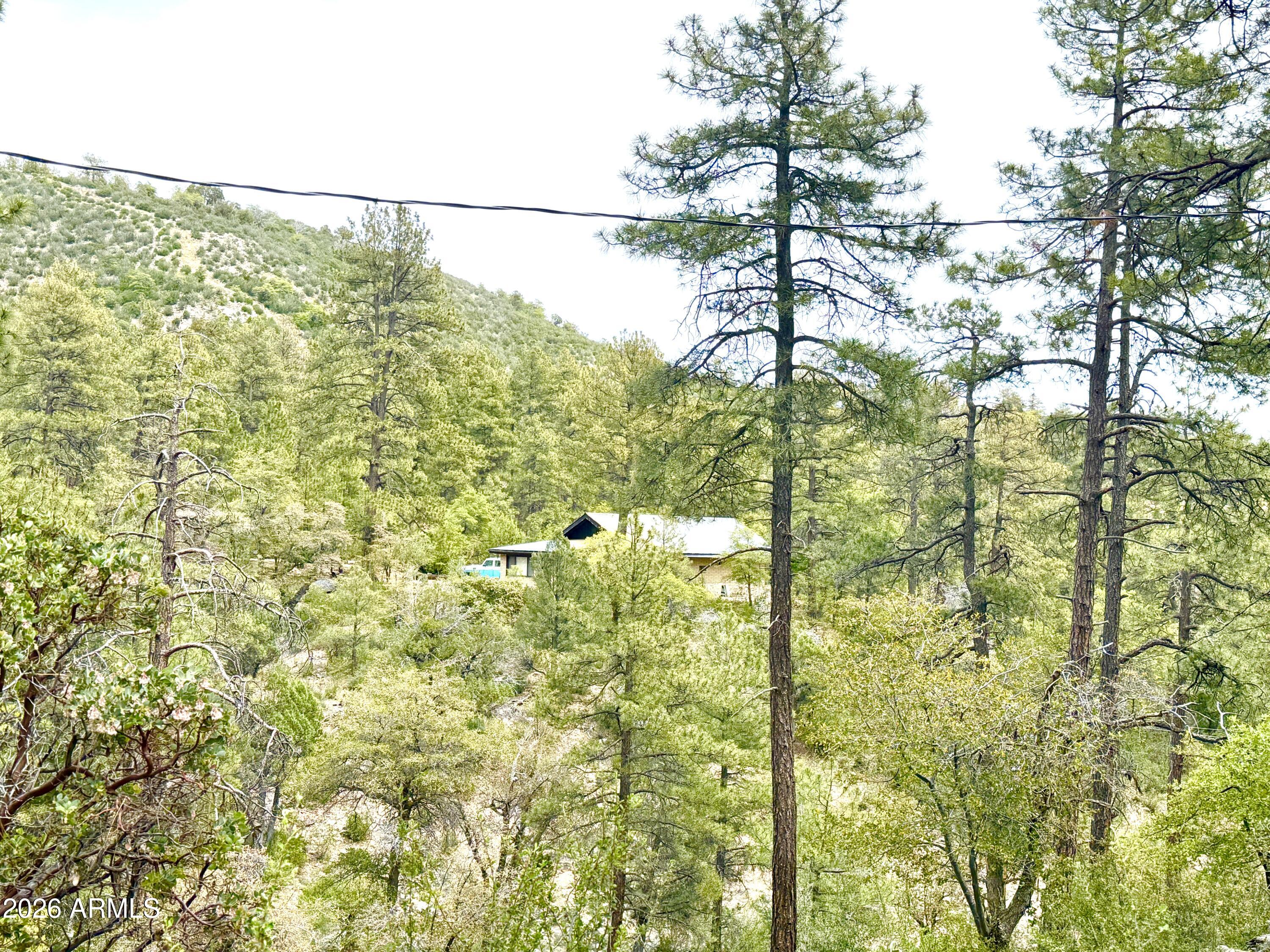 23617 South Demascus Road Crown King, AZ 86343 - Photo 51 of 52 IMG_2813