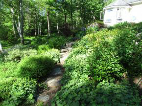 17 Fuller Farm Road Warren, VT 05674 - Photo 26 of 31