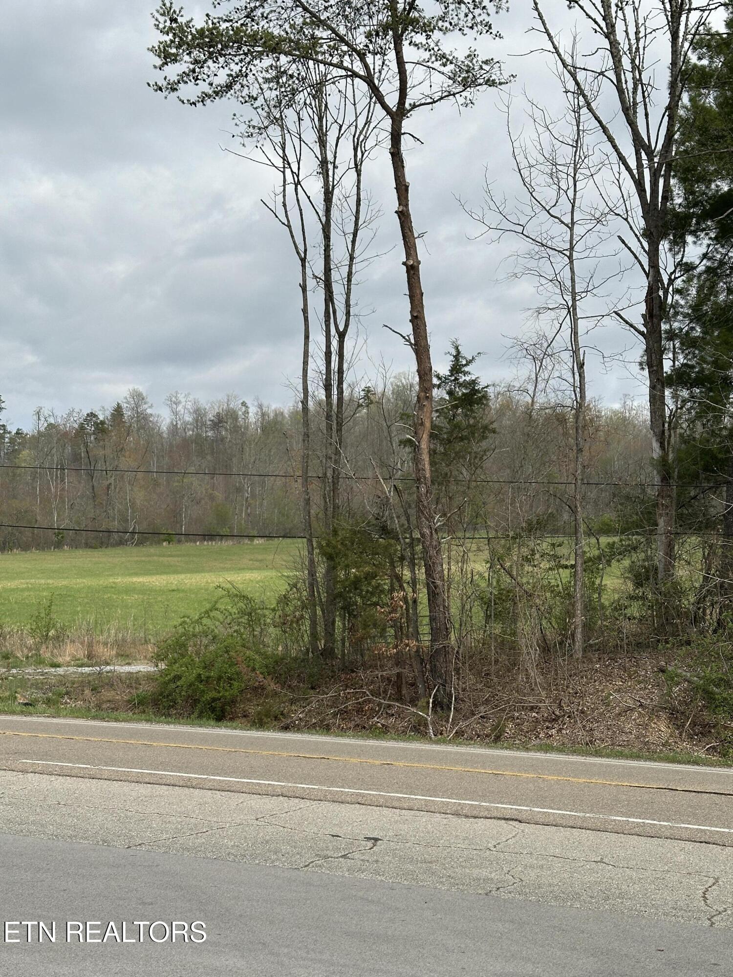 Roane State Highway Harriman, TN 37748 - Photo 3 of 9 IMG_5096