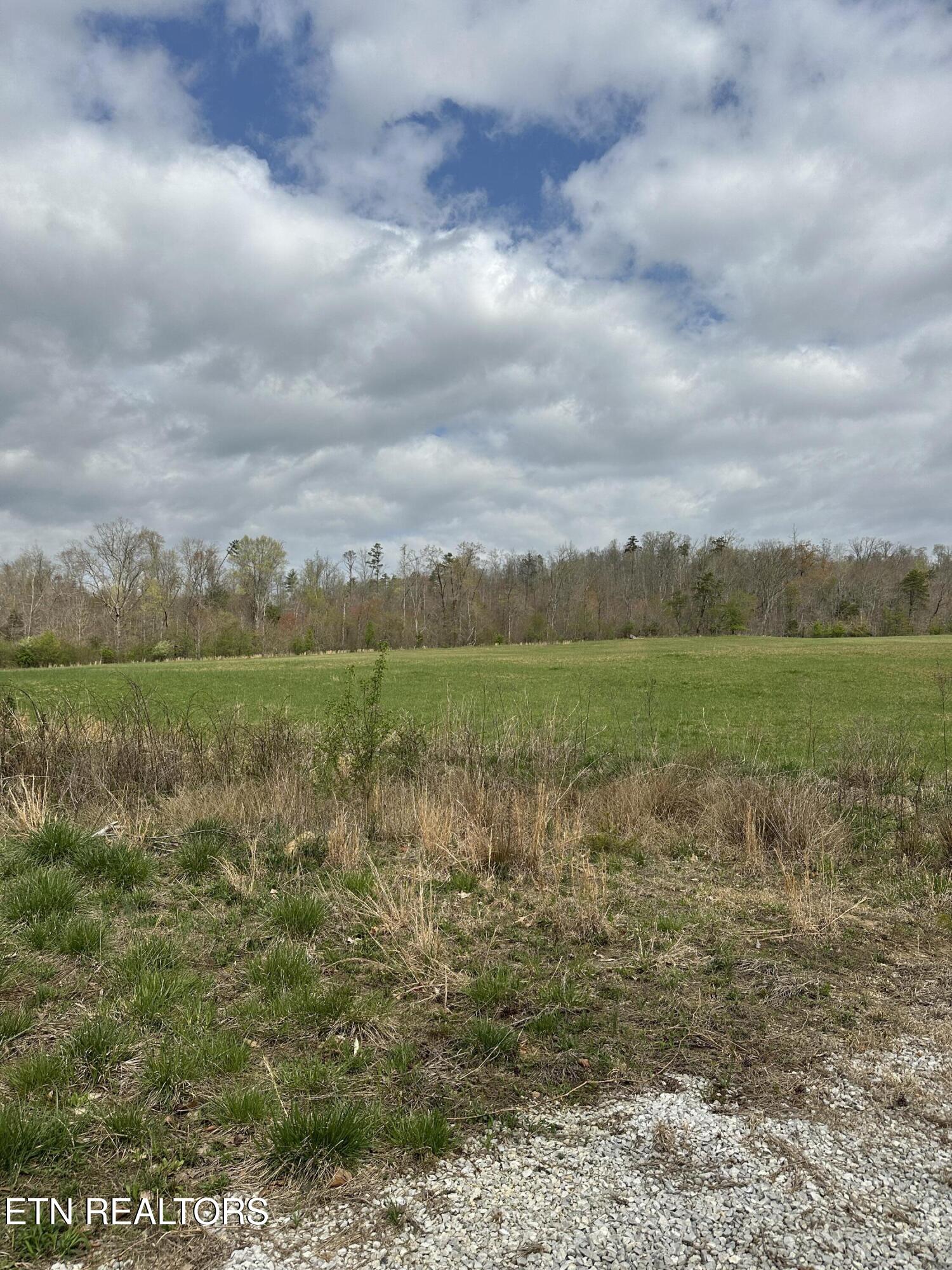 Roane State Highway Harriman, TN 37748 - Photo 4 of 9 IMG_5097