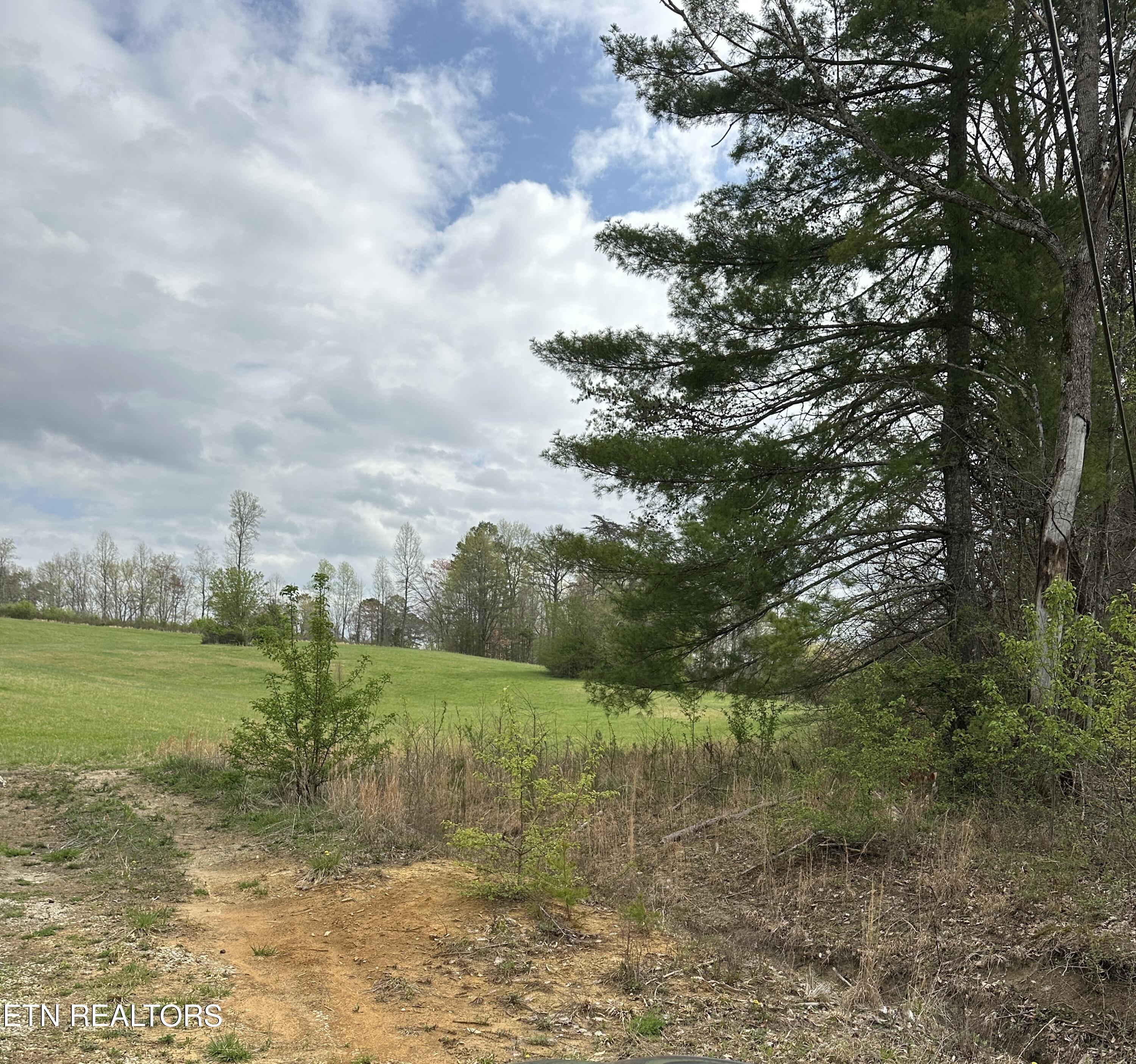 Roane State Highway Harriman, TN 37748 - Photo 6 of 9 IMG_5100