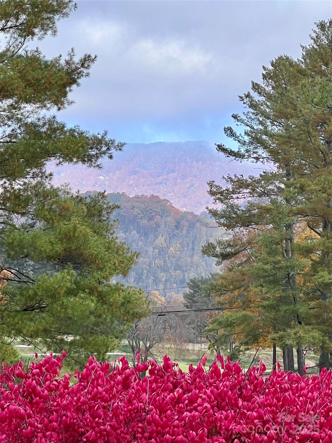 87 Willow Road, Unit D1 Waynesville, NC 28786 - Photo 31 of 36 Gallery Image 31
