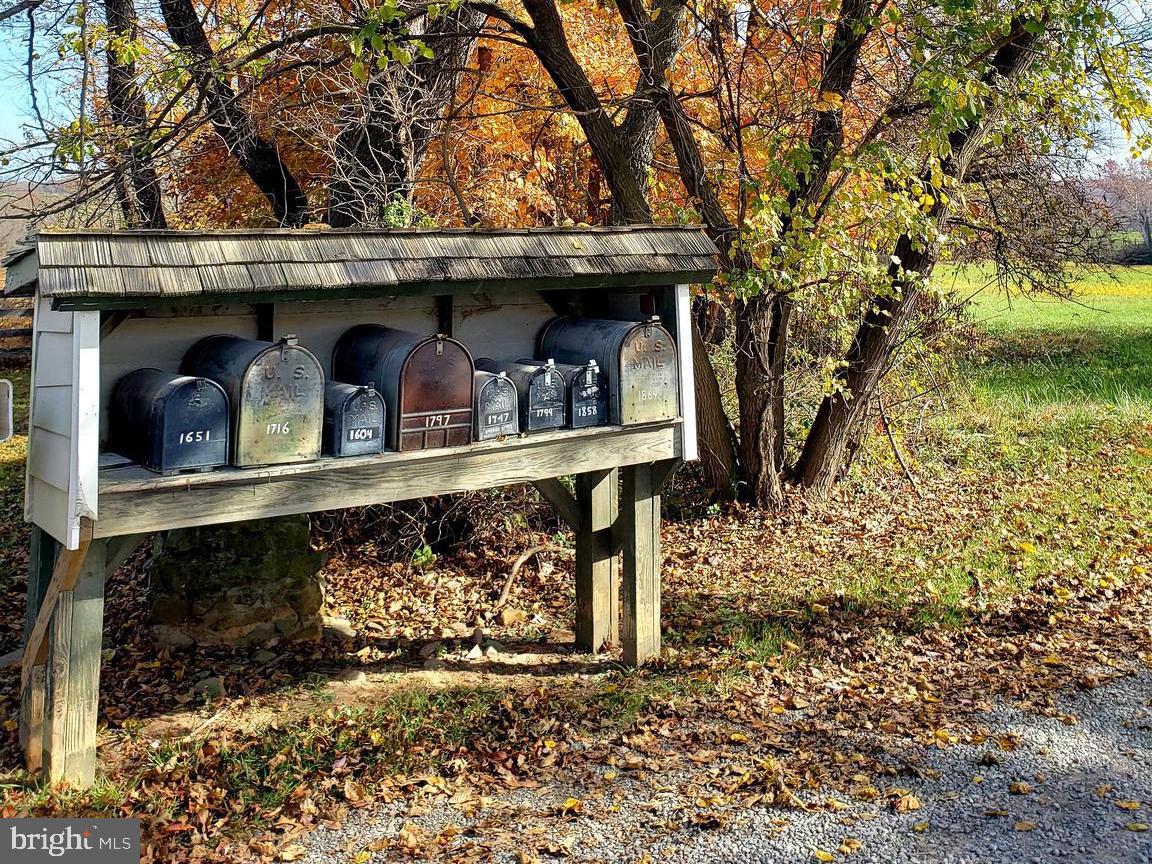 1651 Blue Ridge Farm Road Upperville, VA 20184 - Photo 31 of 41 mail box on Blue Ridge Farm Road