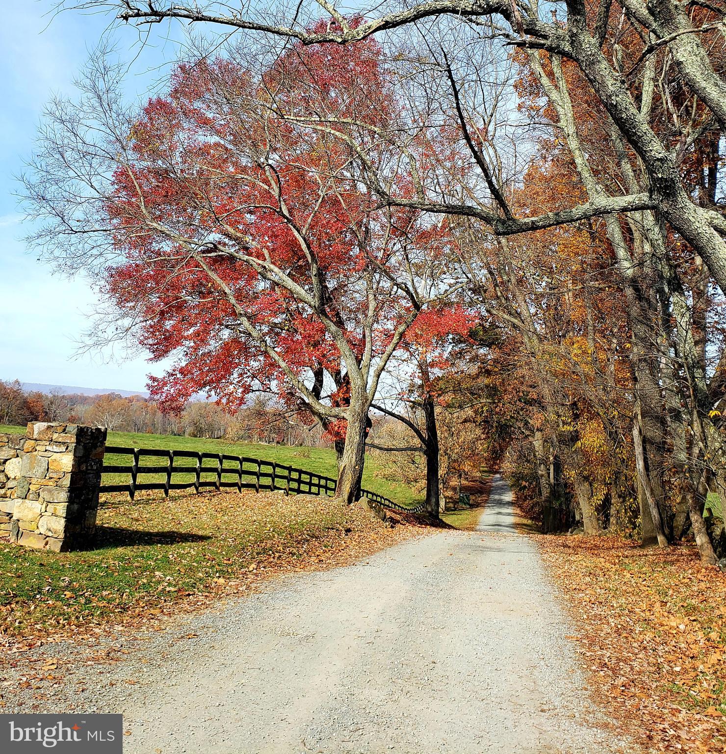 1651 Blue Ridge Farm Road Upperville, VA 20184 - Photo 32 of 41 Blue Ridge Farm Road