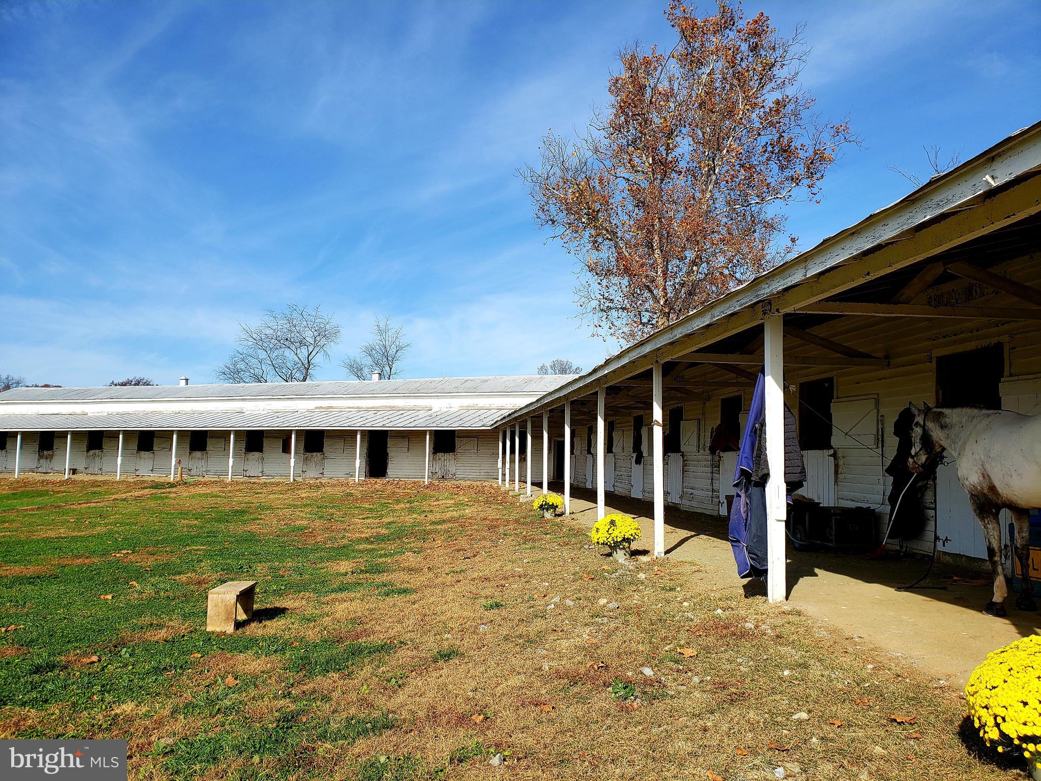 1651 Blue Ridge Farm Road Upperville, VA 20184 - Photo 33 of 41 barn with possible stall to rent for a horse